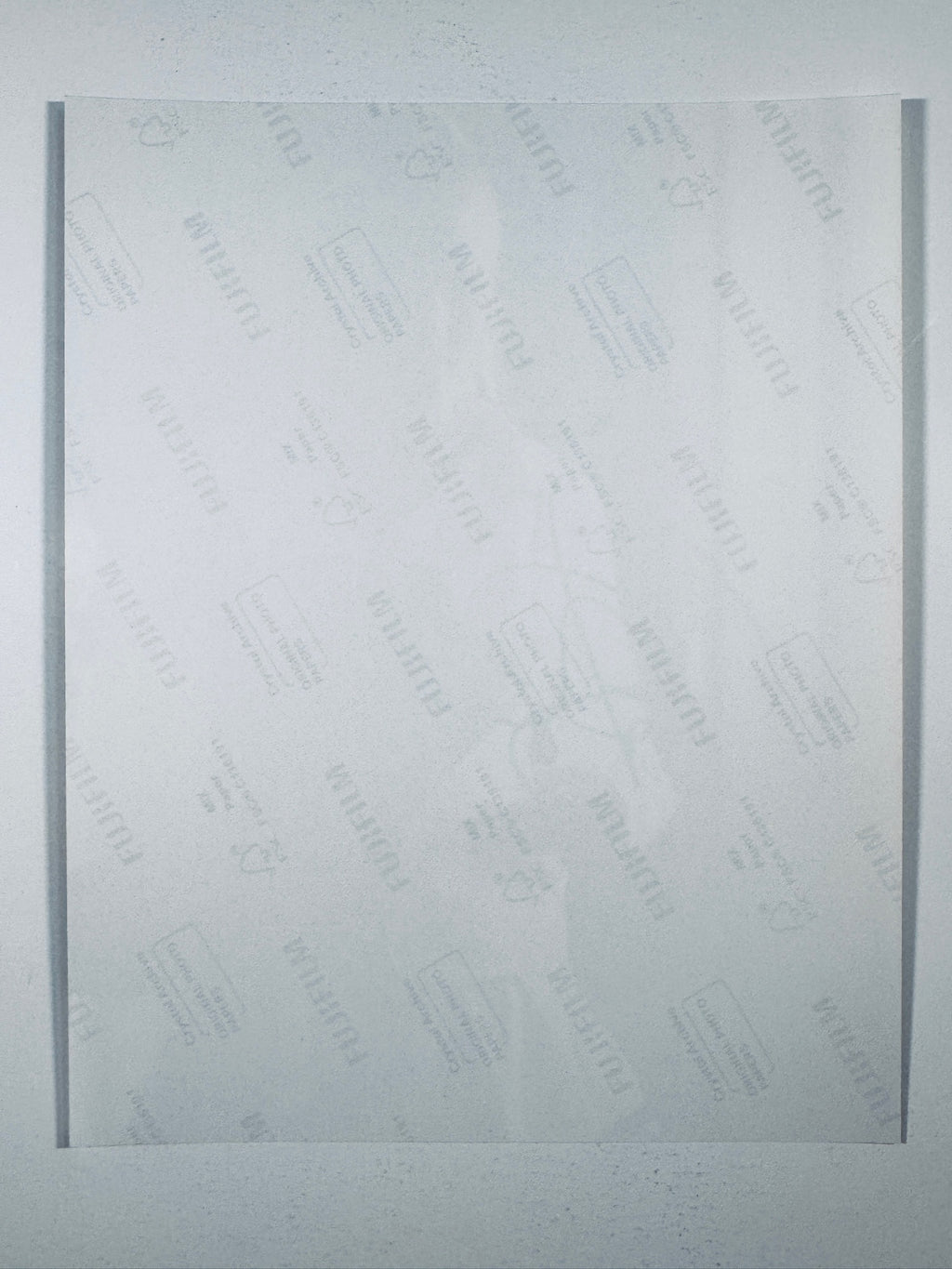 The plain white reverse side representing the back physical condition of the photograph print, showing translucent Fujifilm crystal archive paper watermarks and logos.