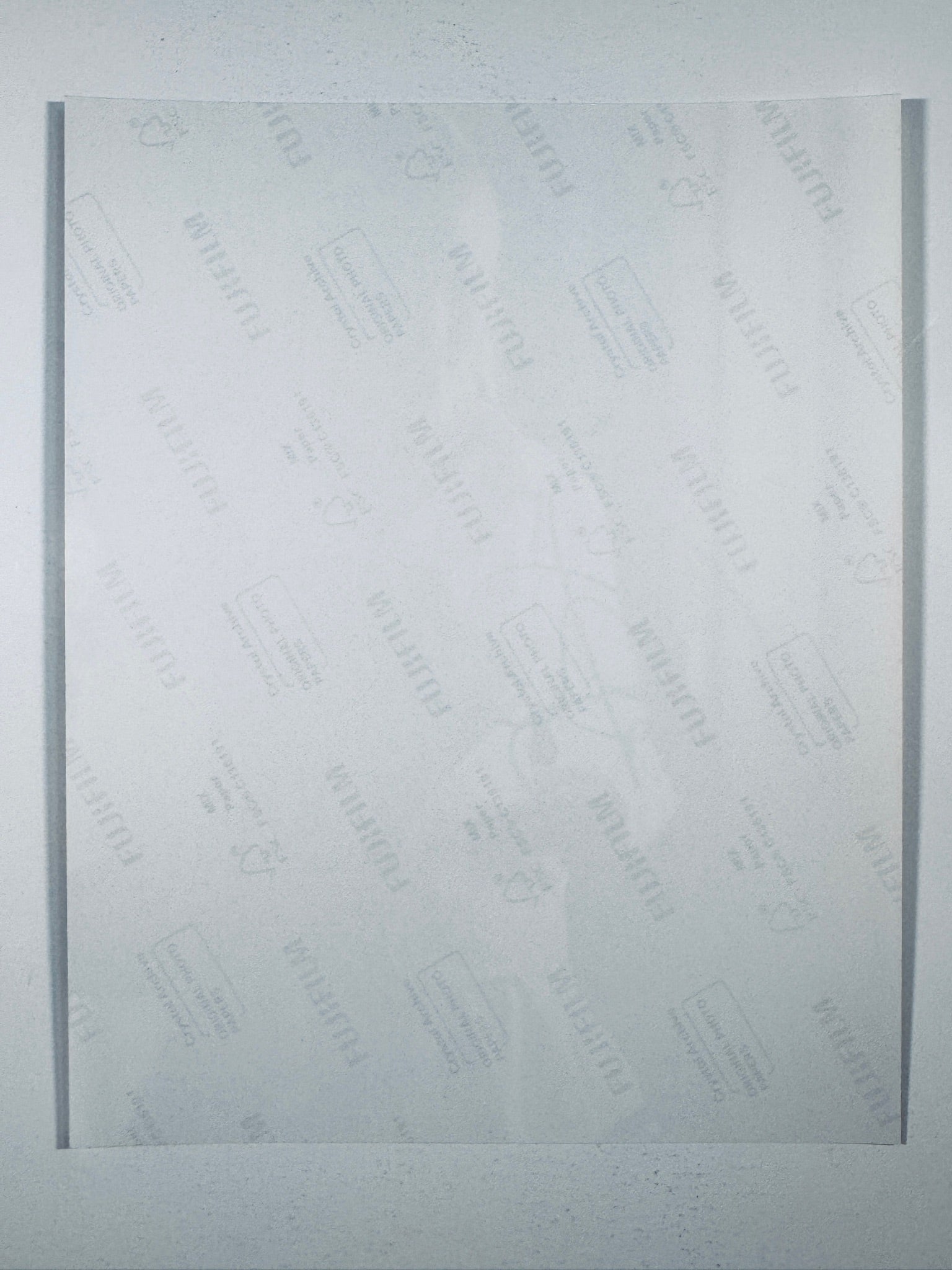 The plain white reverse side representing the back physical condition of the photograph print, showing translucent Fujifilm crystal archive paper watermarks and logos.