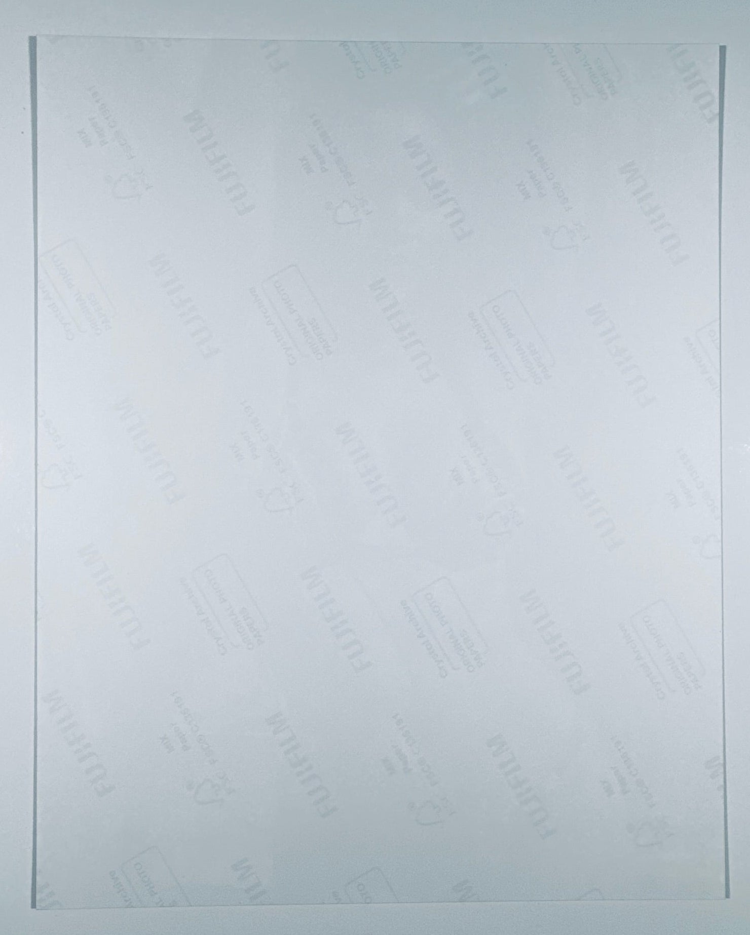 The back of the 8x10 photograph showing its current condition and paper quality.