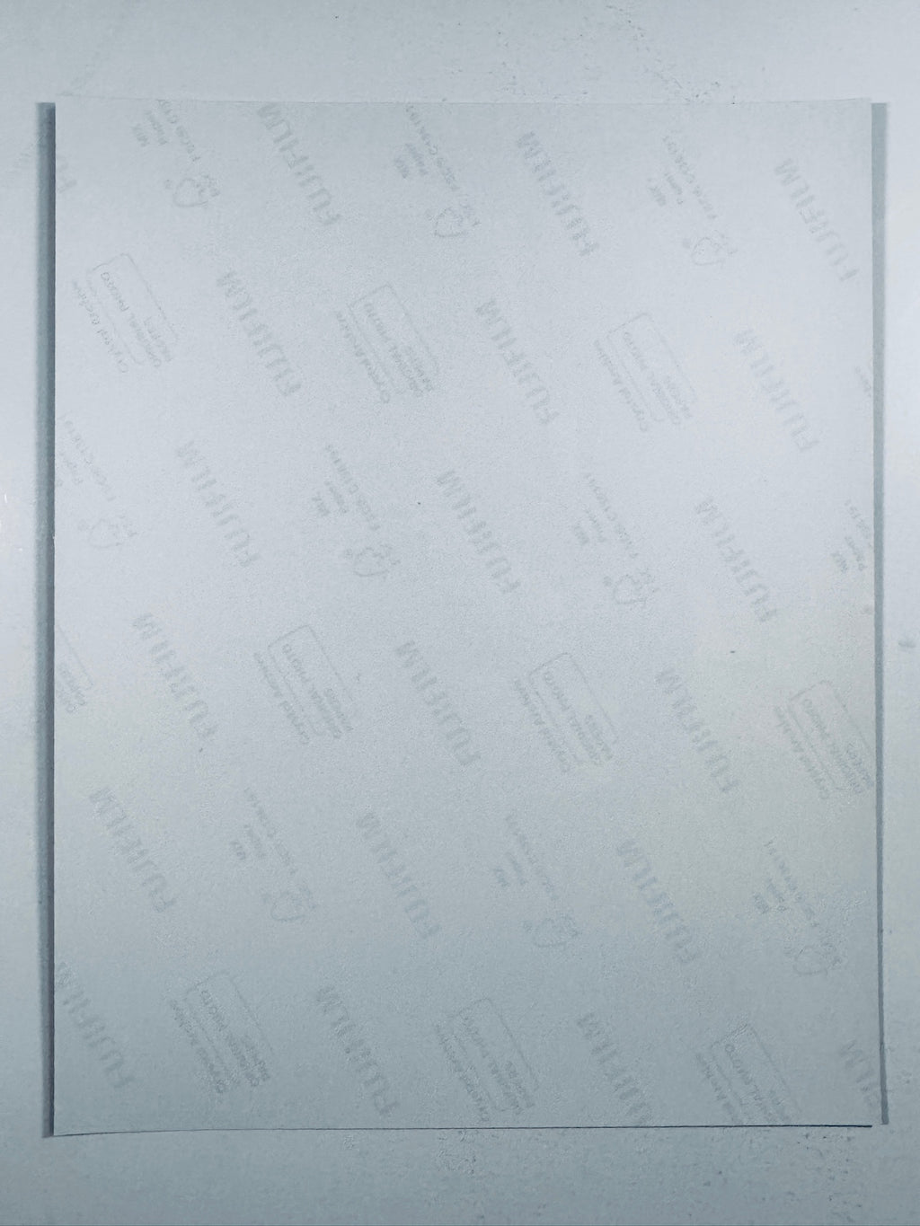 The plain white reverse side representing the back physical condition of the The Hunger Games: Catching Fire photograph print, showing translucent Fujifilm crystal archive paper watermarks and logos.