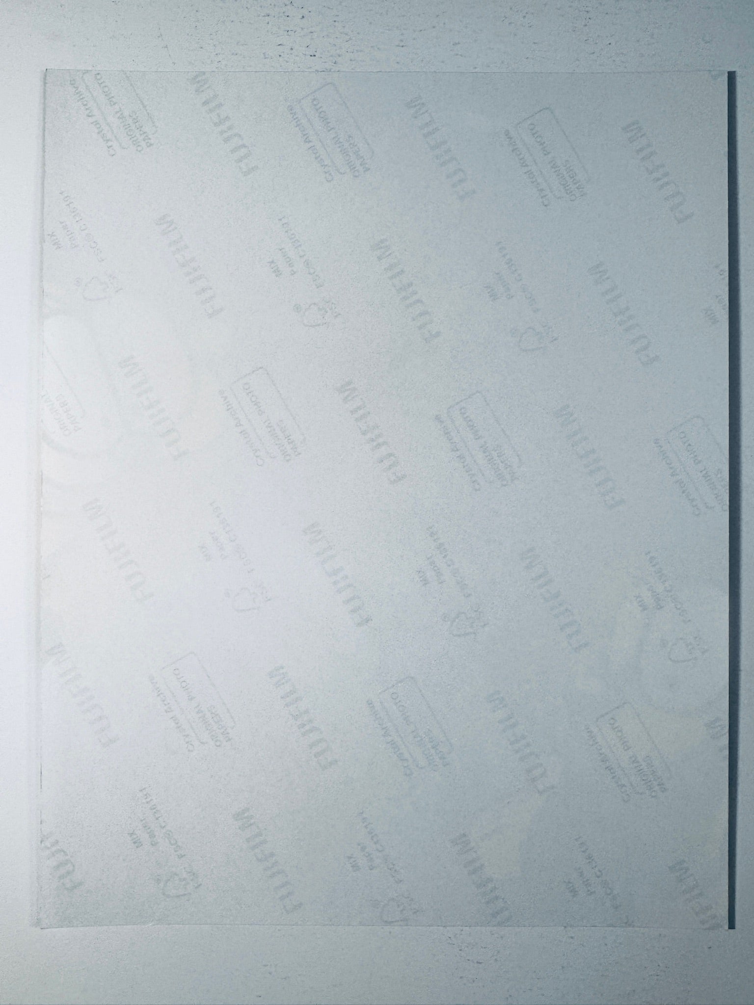 Back condition view of the Fujifilm Crystal Archive paper for the Jim Davis signed Garfield 8x10 photo.