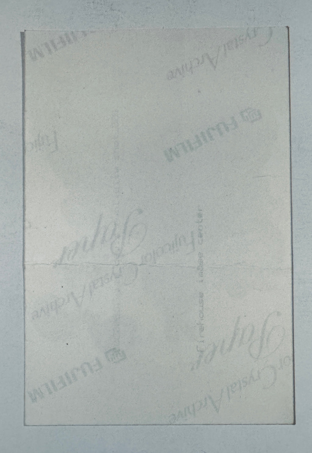 Back of Jim Davis Garfield signed promo photograph

