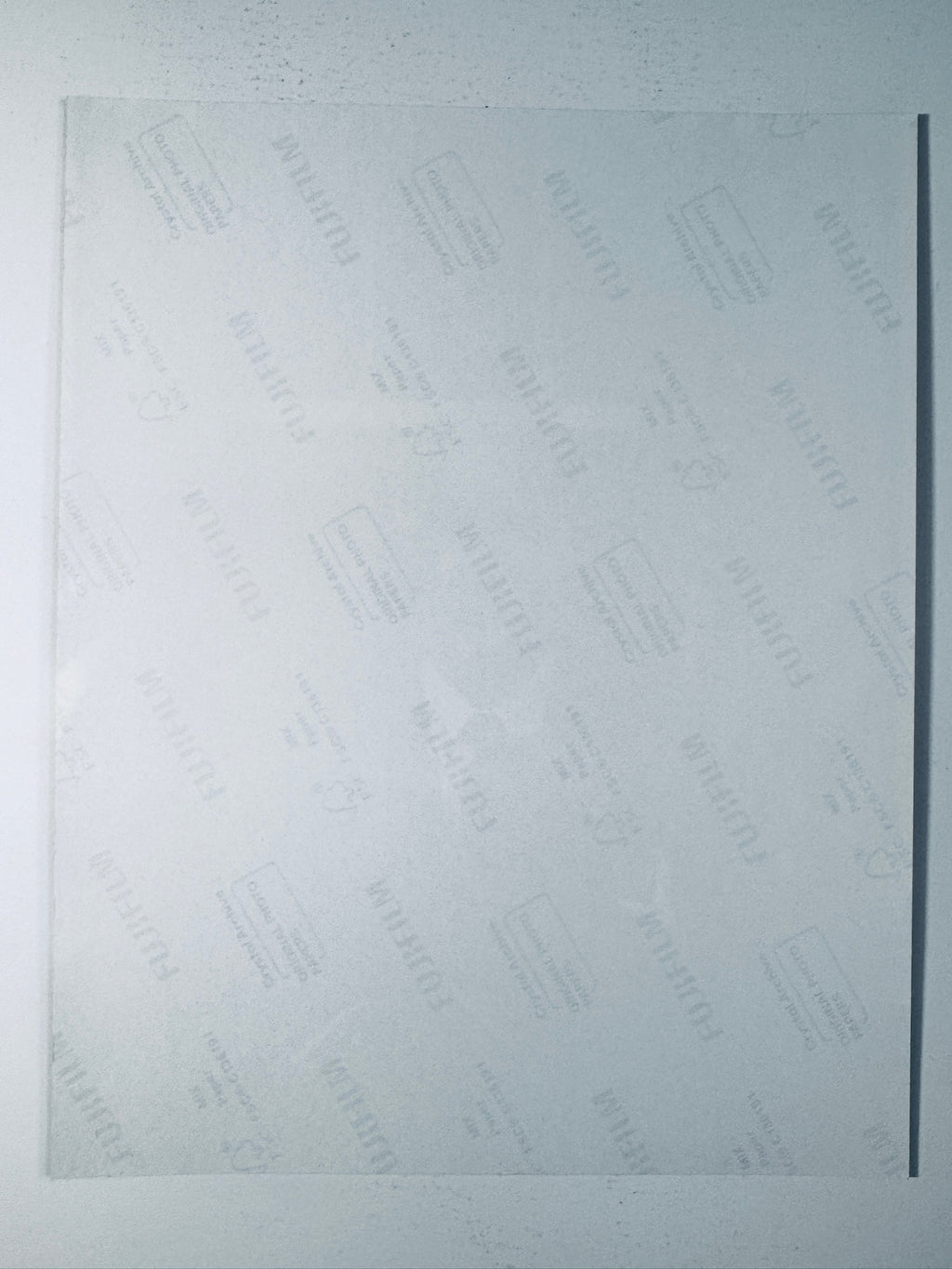 Back condition view of the Fujifilm Crystal Archive paper for the Joe Biden signed 8x10 photo.