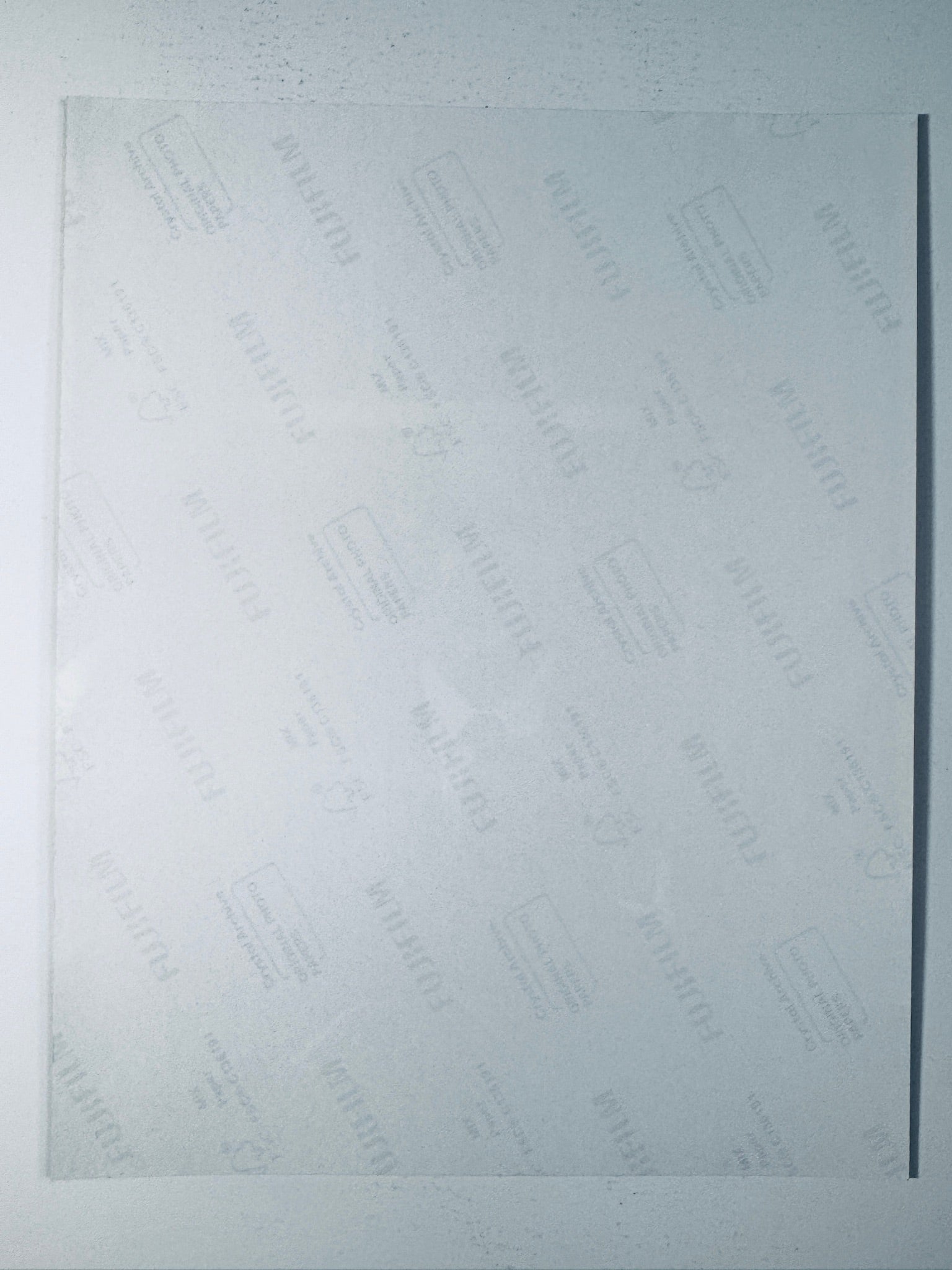 Back condition view of the Fujifilm Crystal Archive paper for the Joe Biden signed 8x10 photo.
