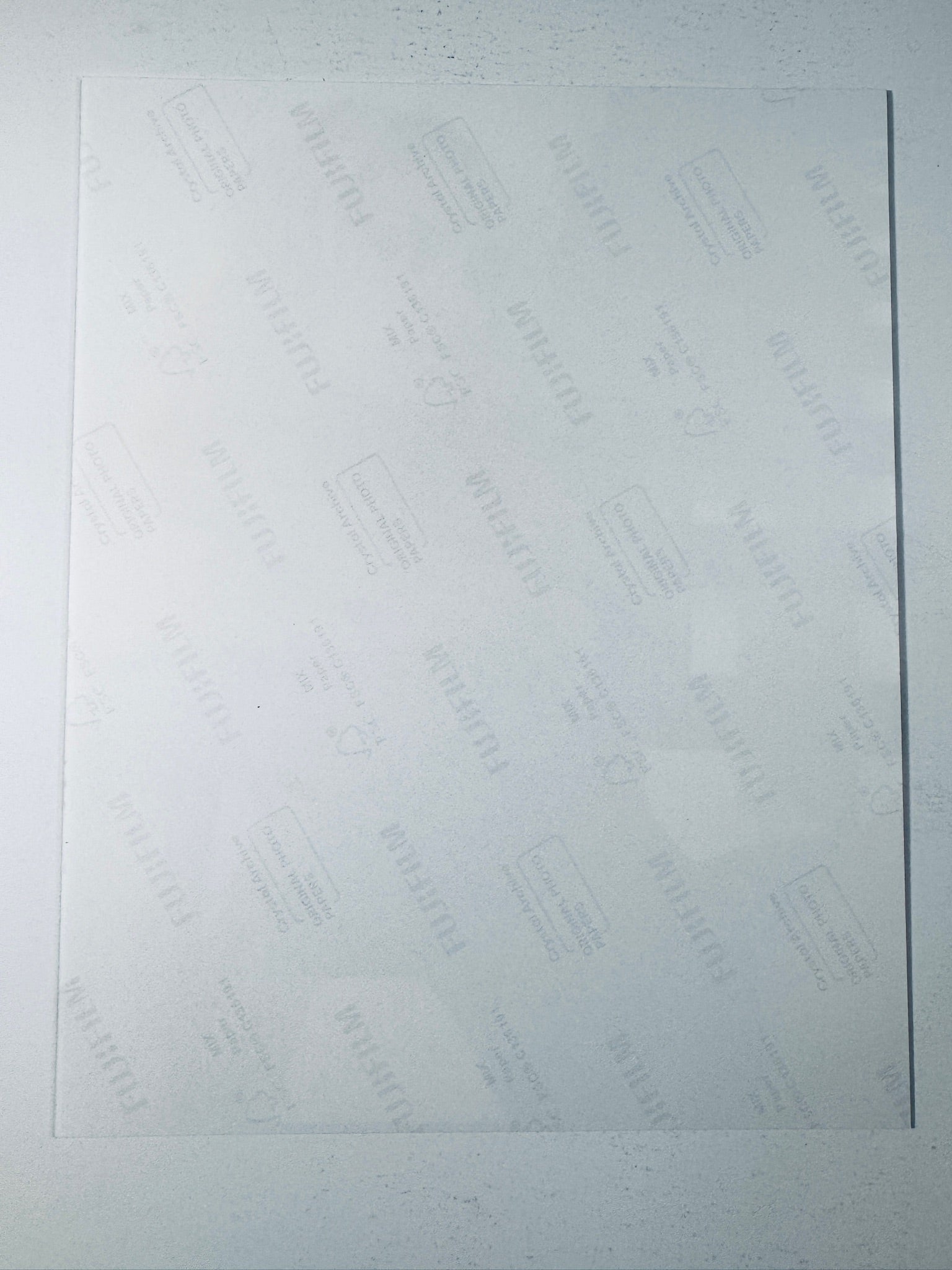 Back of the Fujifilm photographic paper showing the reverse side condition and paper branding for the Joy Bryant signed collectible.