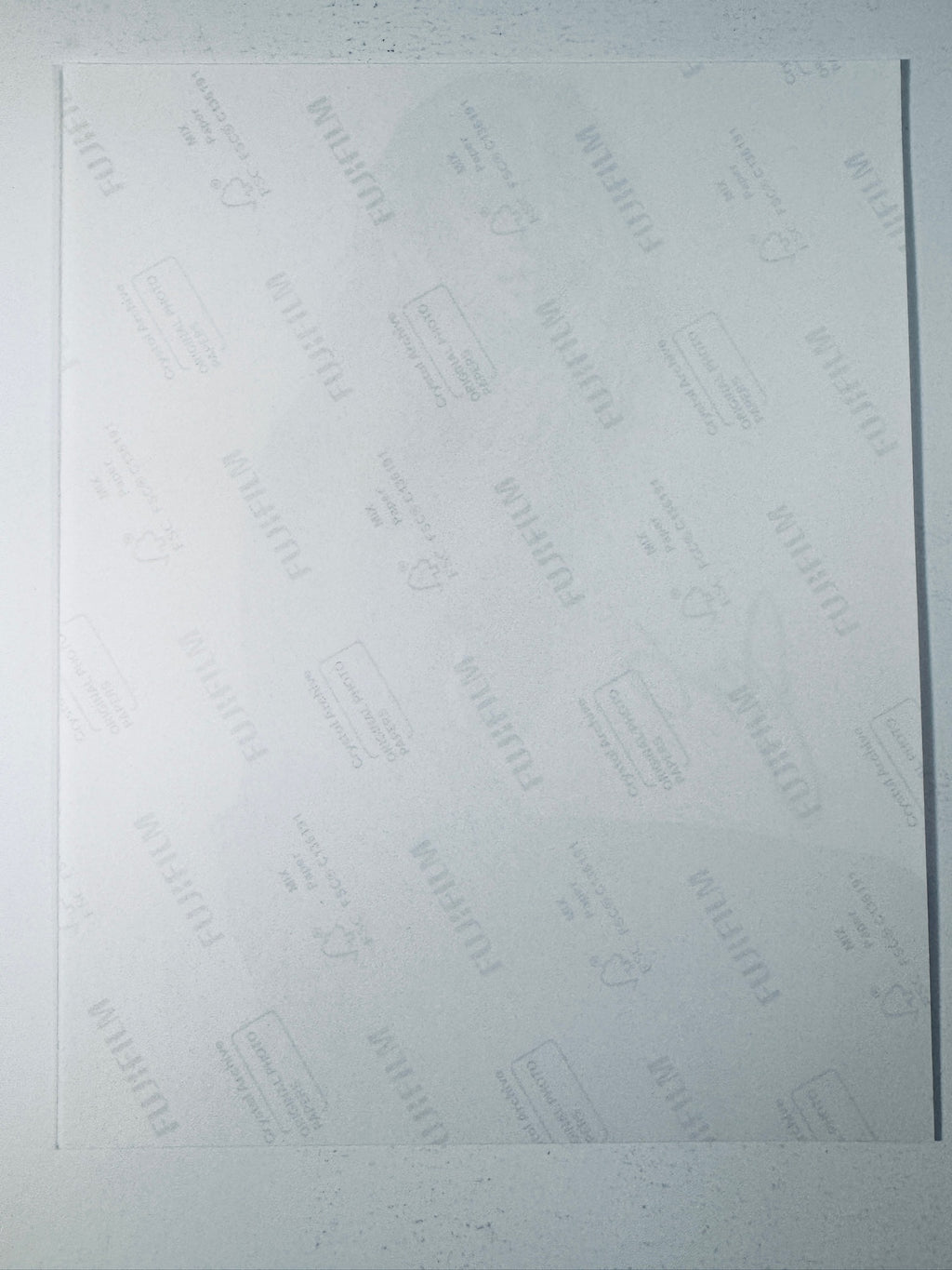 Back of the Fujifilm photographic paper showing the reverse side condition and paper branding for the Josie Canseco signed collectible.
