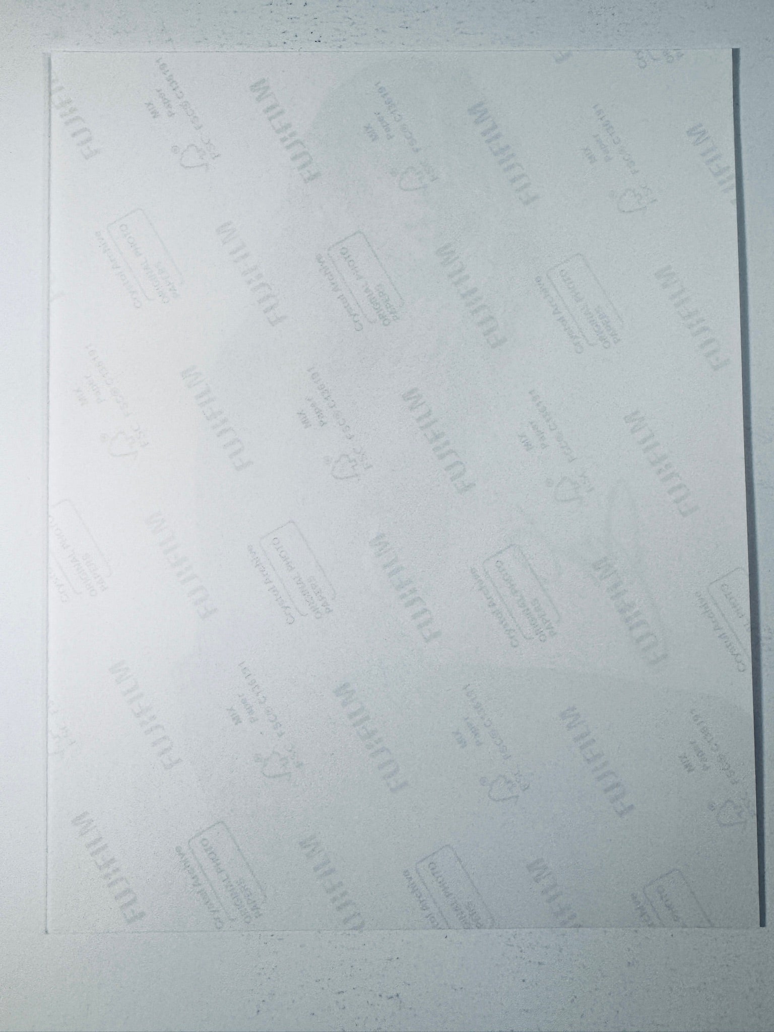 Back of the Fujifilm photographic paper showing the reverse side condition and paper branding for the Josie Canseco signed collectible.