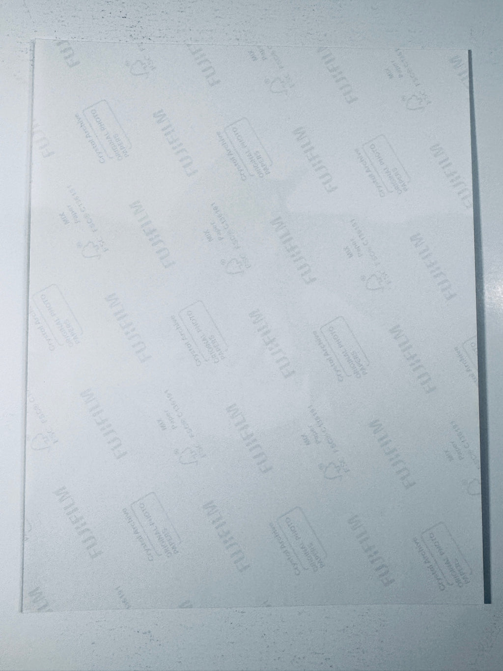 Back condition view of the Fujifilm Crystal Archive paper for the Kacey Musgraves signed 8x10 photo.