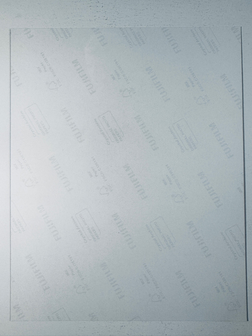 Fujifilm Crystal Archive photographic paper back surface showing the authentic backing and matte paper texture for the Katheryn Winnick signed photo.