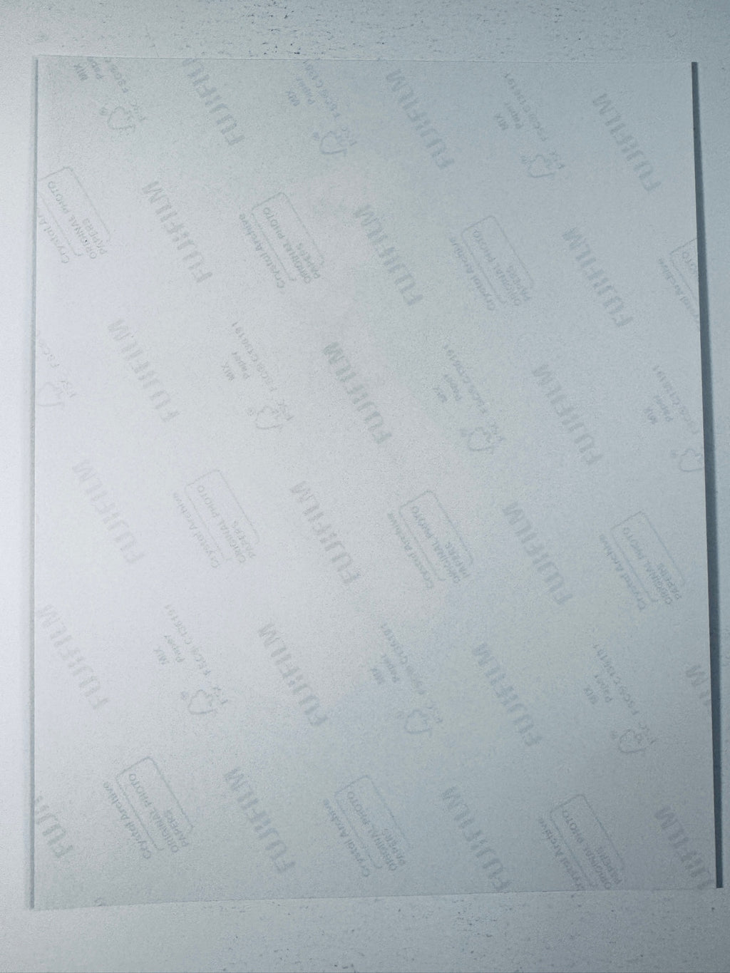 Back of the Fujifilm photographic paper showing the reverse side condition and paper branding for the Katie Holmes signed collectible.