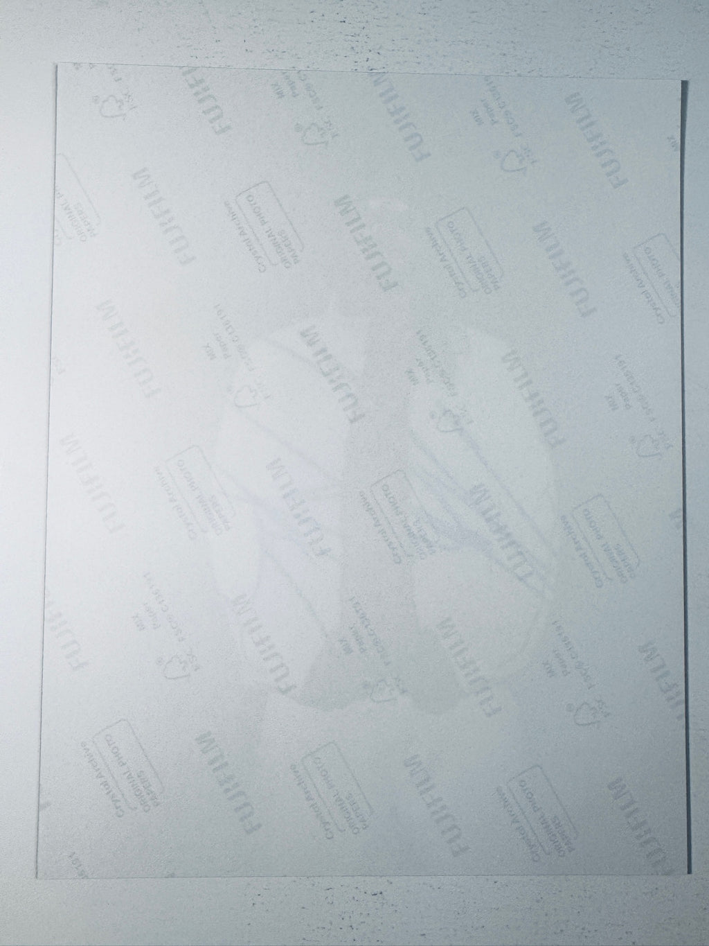 Fujifilm Crystal Archive photographic paper back surface showing the authentic backing and matte paper texture for the Kid Rock signed photo.