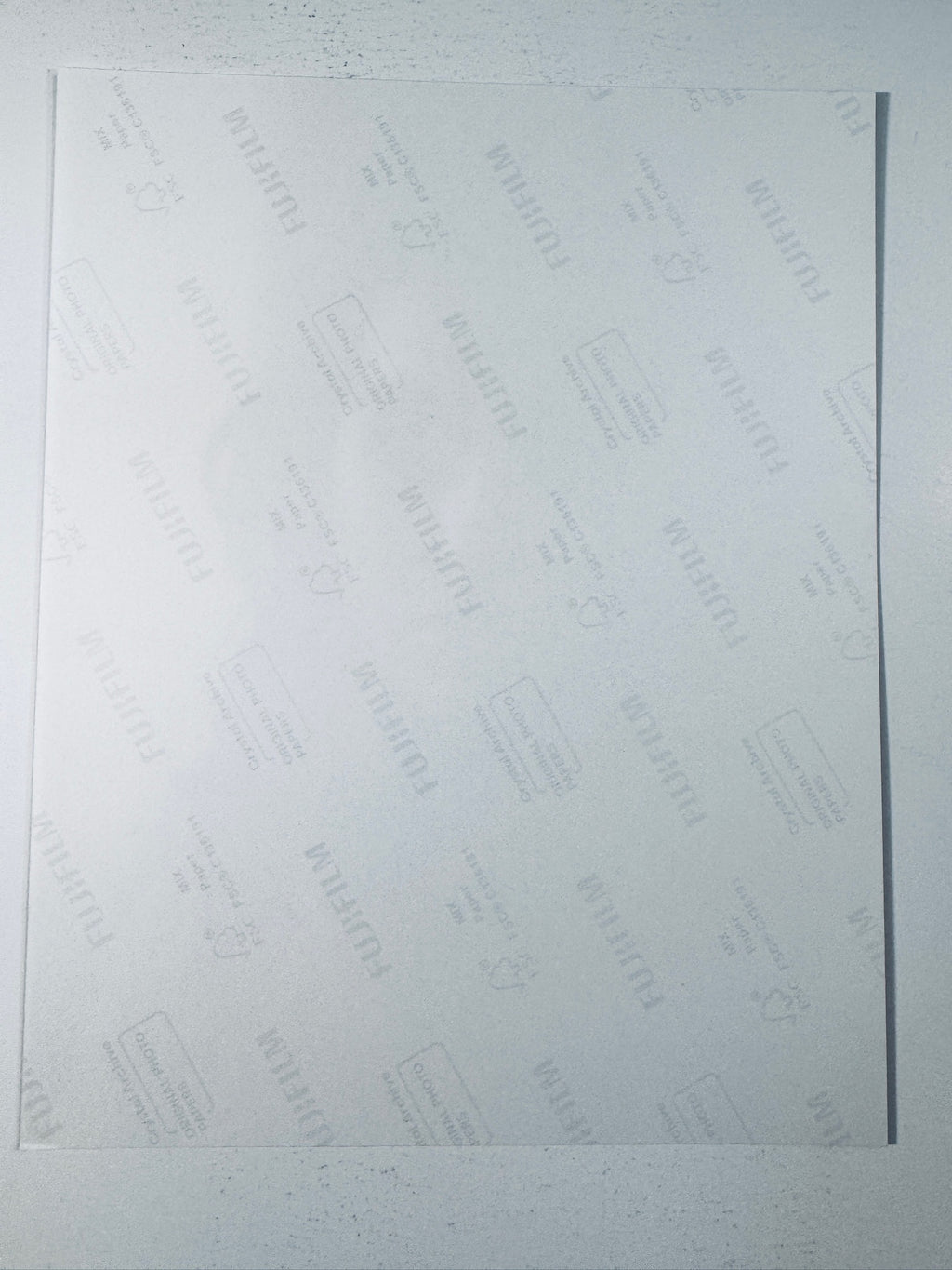 Back of the Fujifilm photographic paper showing the reverse side condition and paper branding for the Lacey Chabert signed collectible.
