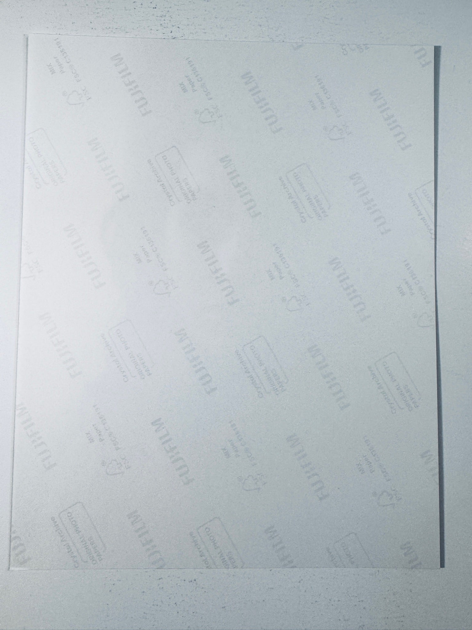 Back of the Fujifilm photographic paper showing the reverse side condition and paper branding for the Lacey Chabert signed collectible.