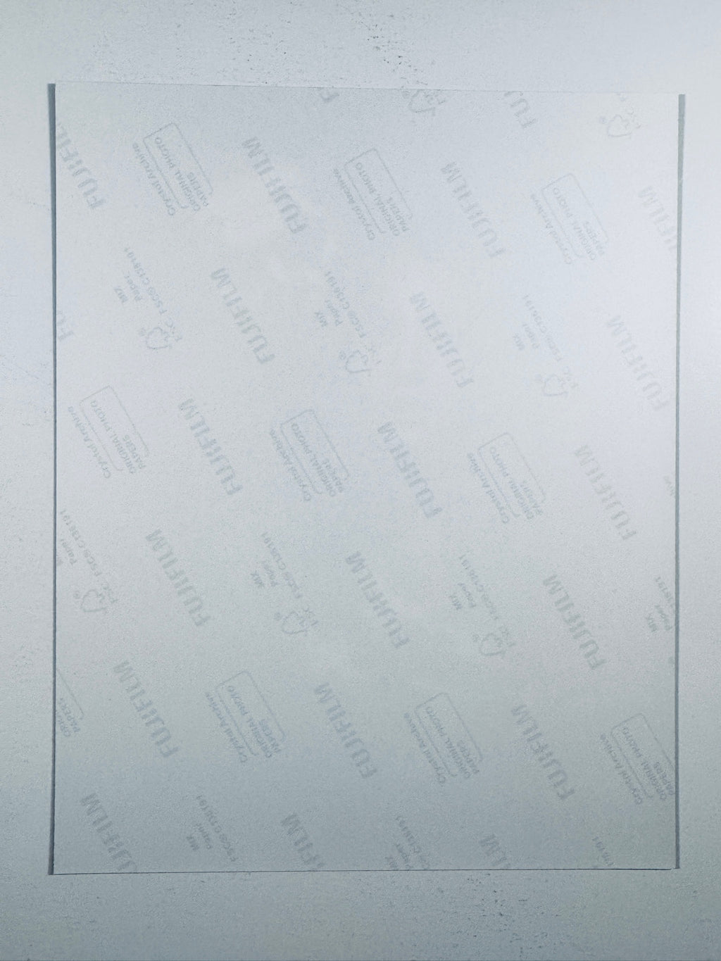 The plain white reverse side representing the back physical condition of the photograph print, showing translucent Fujifilm crystal archive paper watermarks and logos.