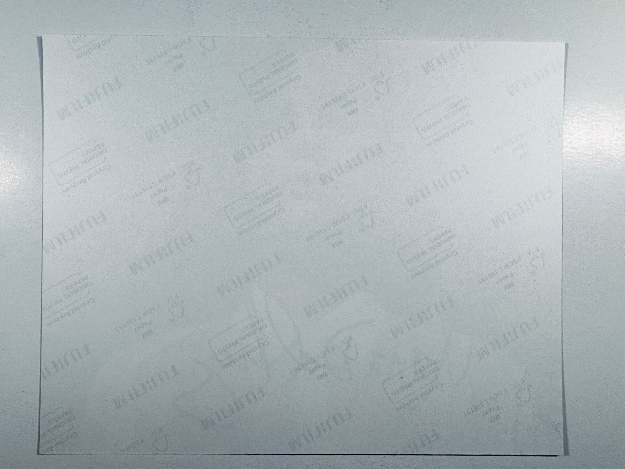 The plain white reverse side representing the back physical condition of the photograph print, showing translucent Fujifilm crystal archive paper watermarks and logos.