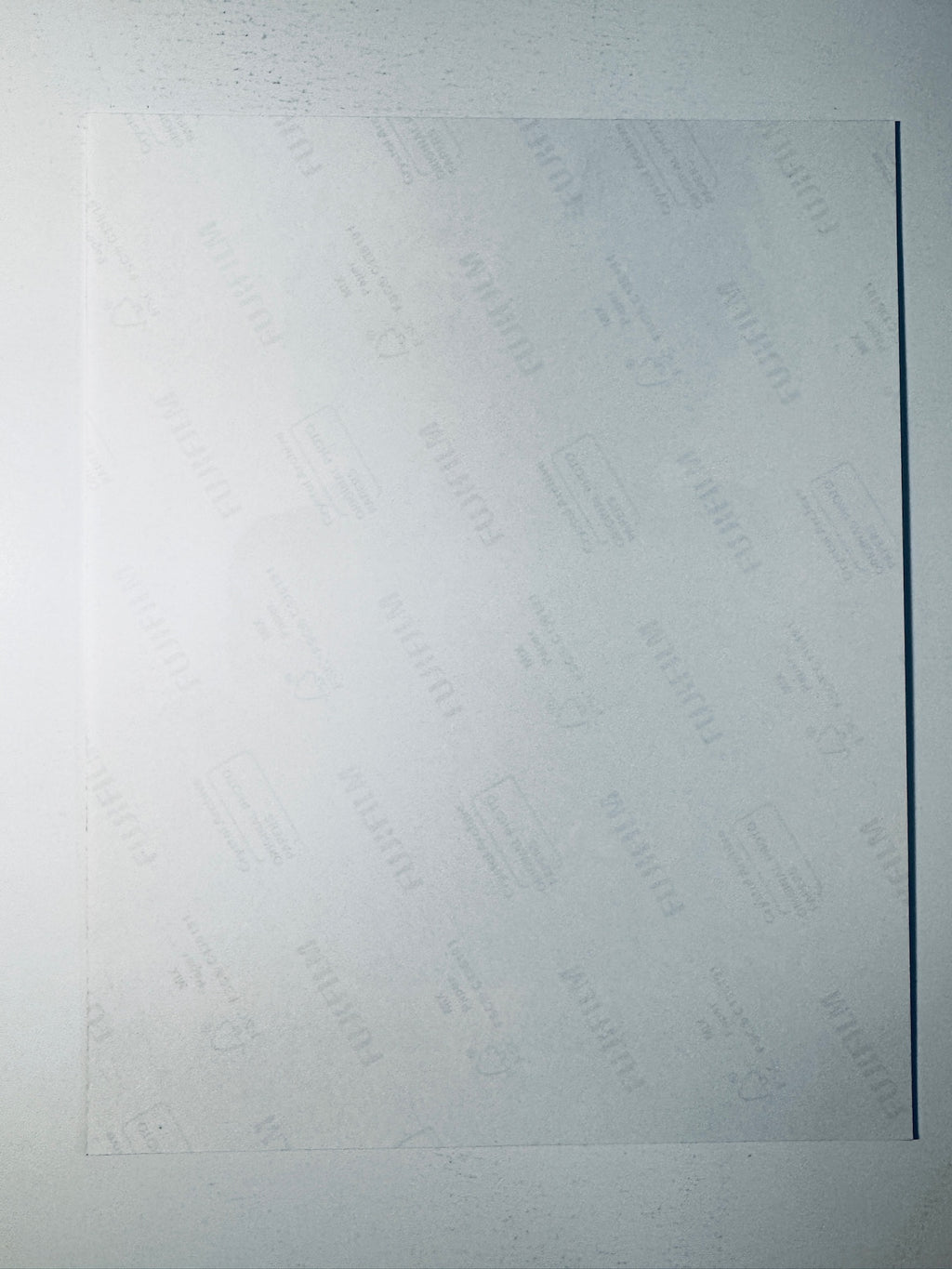 Back condition view of the Fujifilm Crystal Archive paper for the Leonardo DiCaprio signed One Battle After Another 8x10 photo.