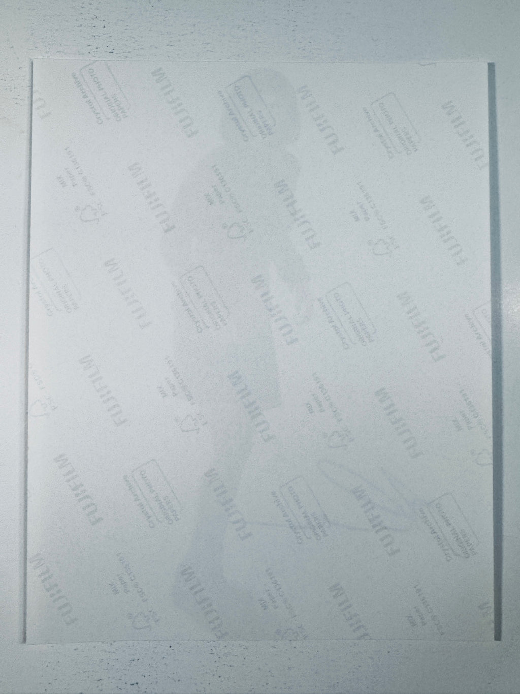 Fujifilm Crystal Archive photographic paper back surface showing the authentic backing and matte paper texture for the Linda Cardellini signed photo.