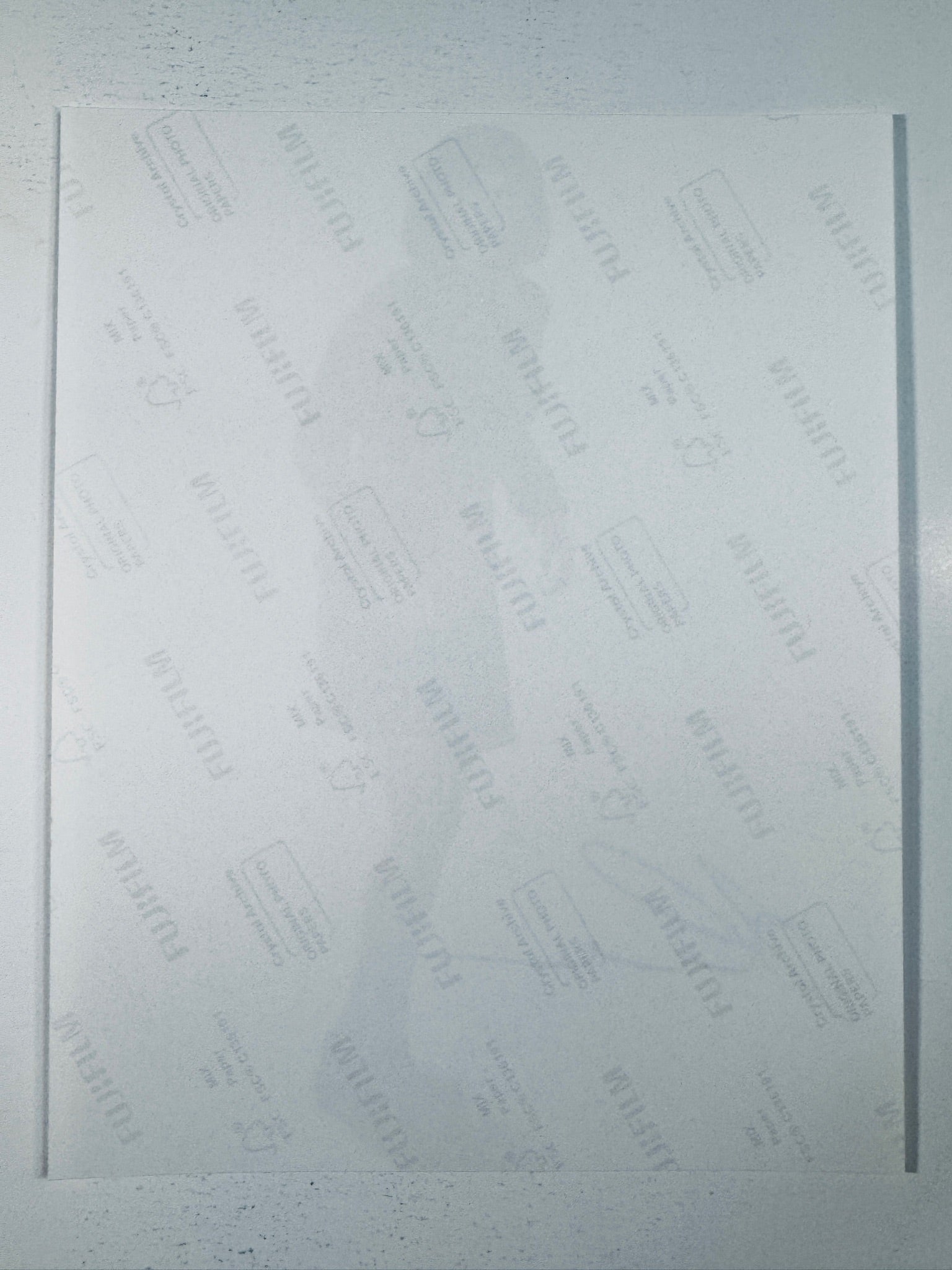 Fujifilm Crystal Archive photographic paper back surface showing the authentic backing and matte paper texture for the Linda Cardellini signed photo.