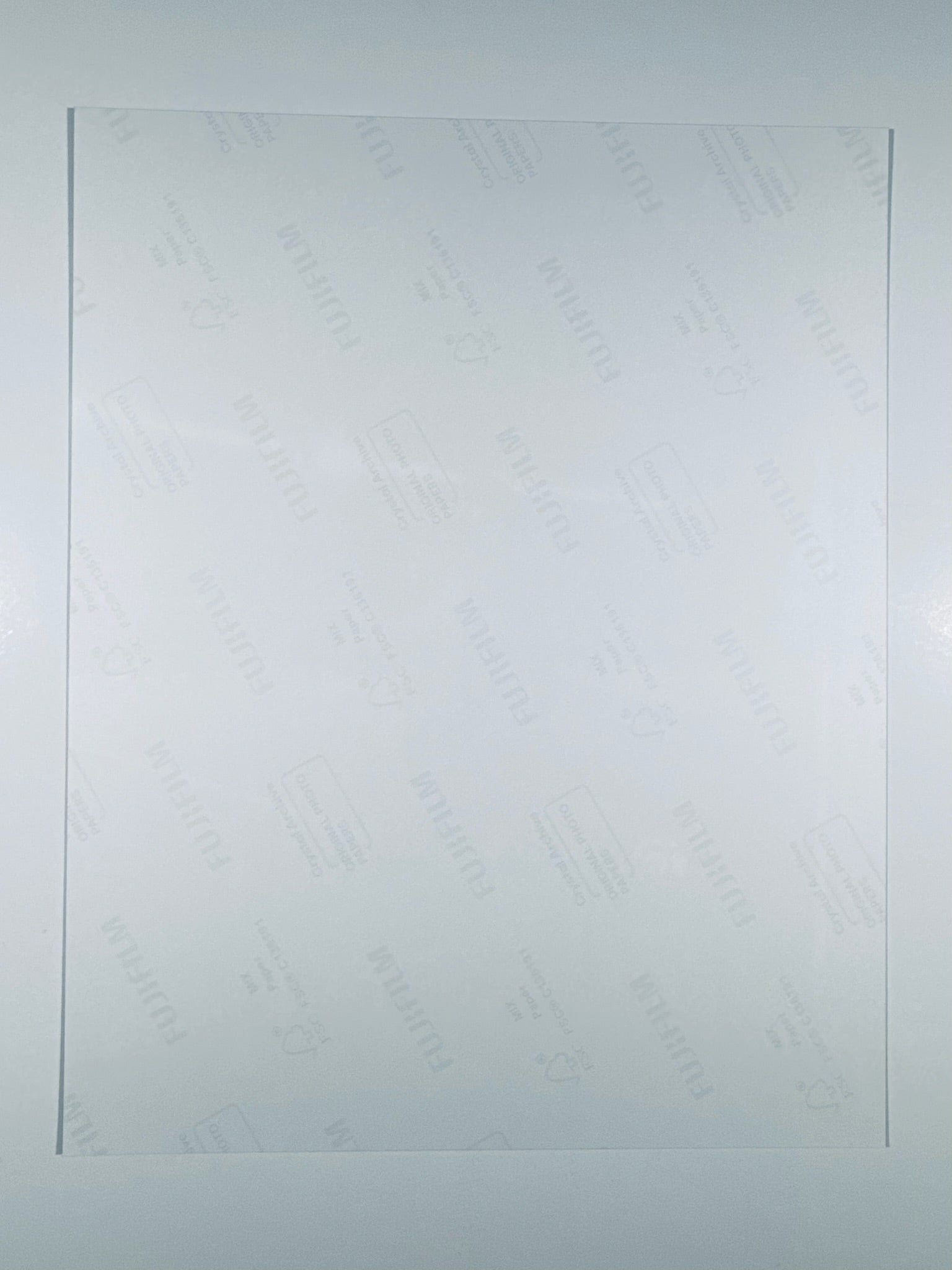 The back of the 8x10 photograph showing its current condition and paper quality