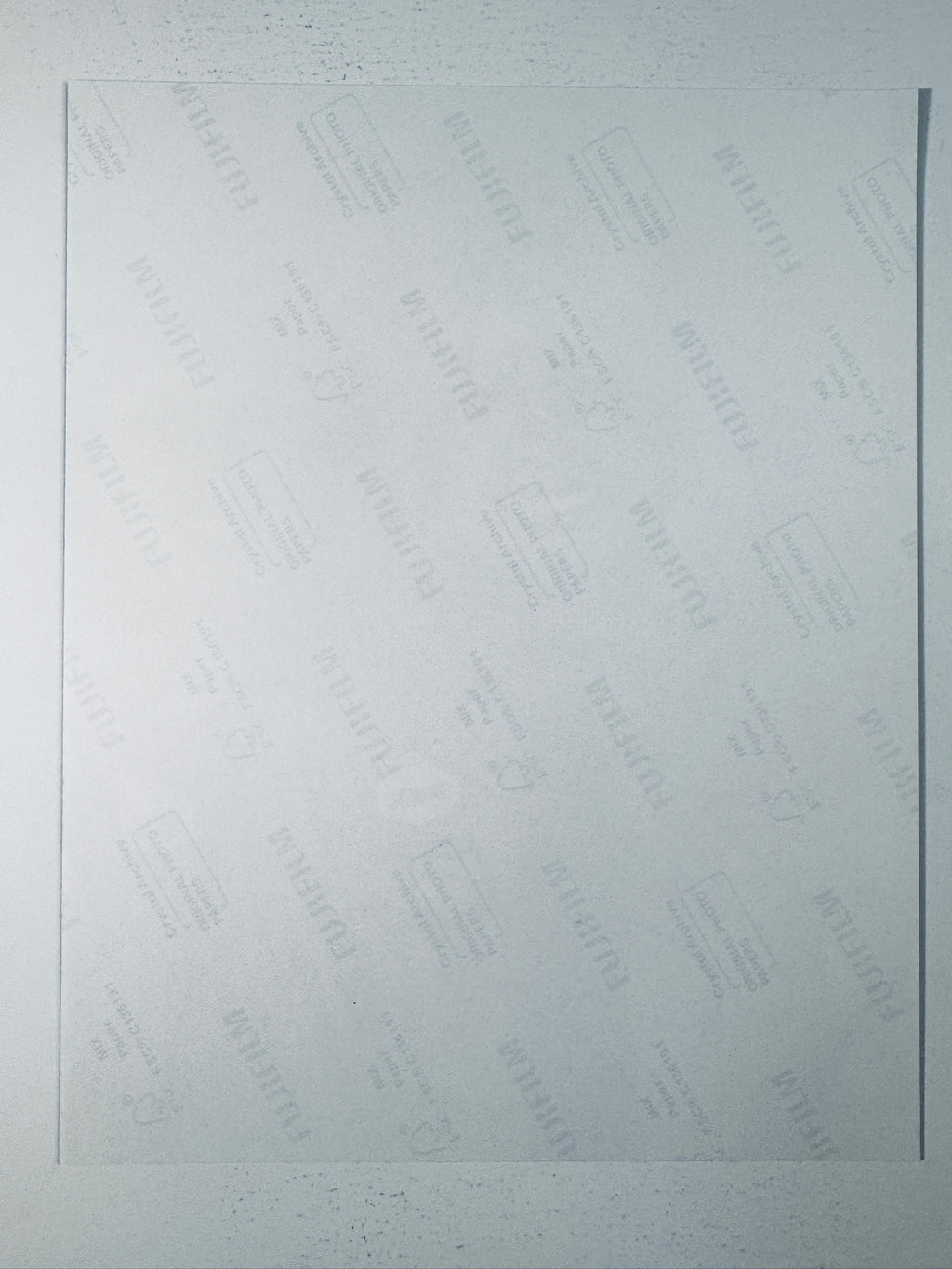 Fujifilm Crystal Archive photographic paper back surface showing the authentic backing and matte paper texture for the Loretta Swit signed photo.
