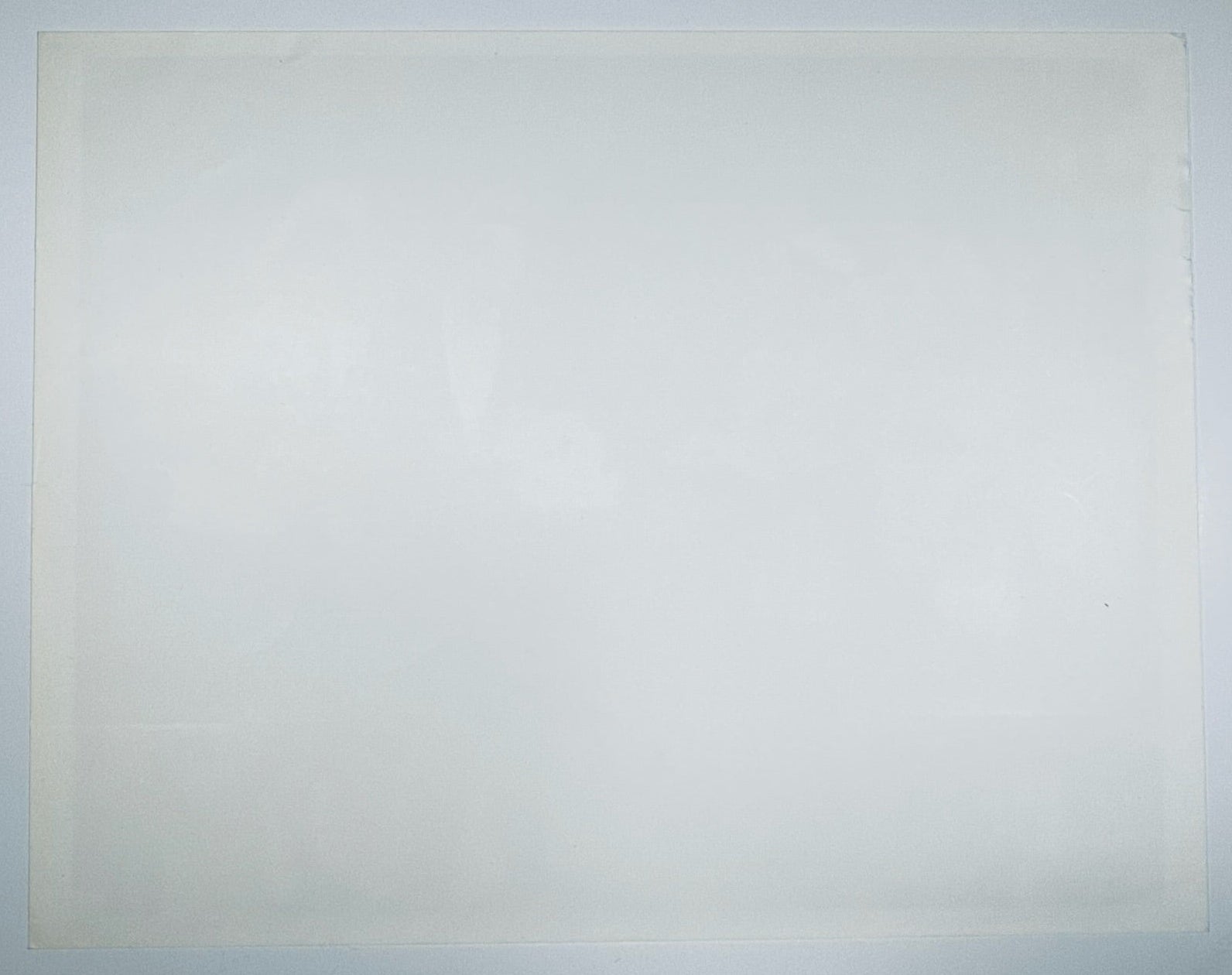 The back of the vintage 8x10 photograph showing its paper quality, finish, and overall condition.