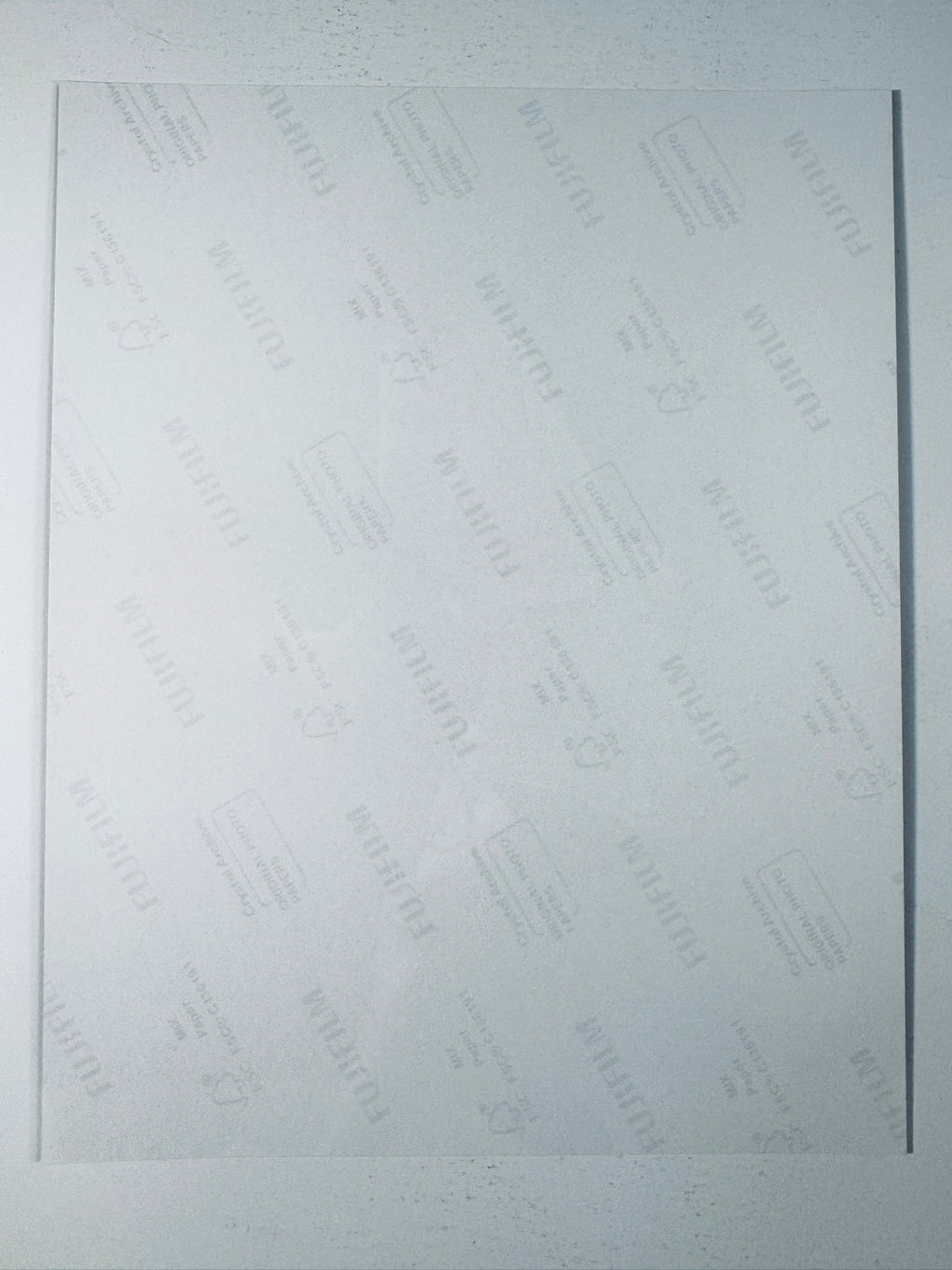 Back of the Fujifilm photographic paper showing the reverse side condition and paper branding for the Martina Hingis signed tennis collectible.