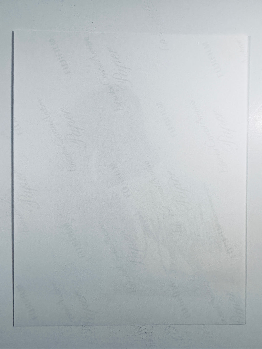 The plain white reverse side representing the back physical condition of the photograph print, showing translucent Fujicolor Crystal Archive paper watermarks and logos.