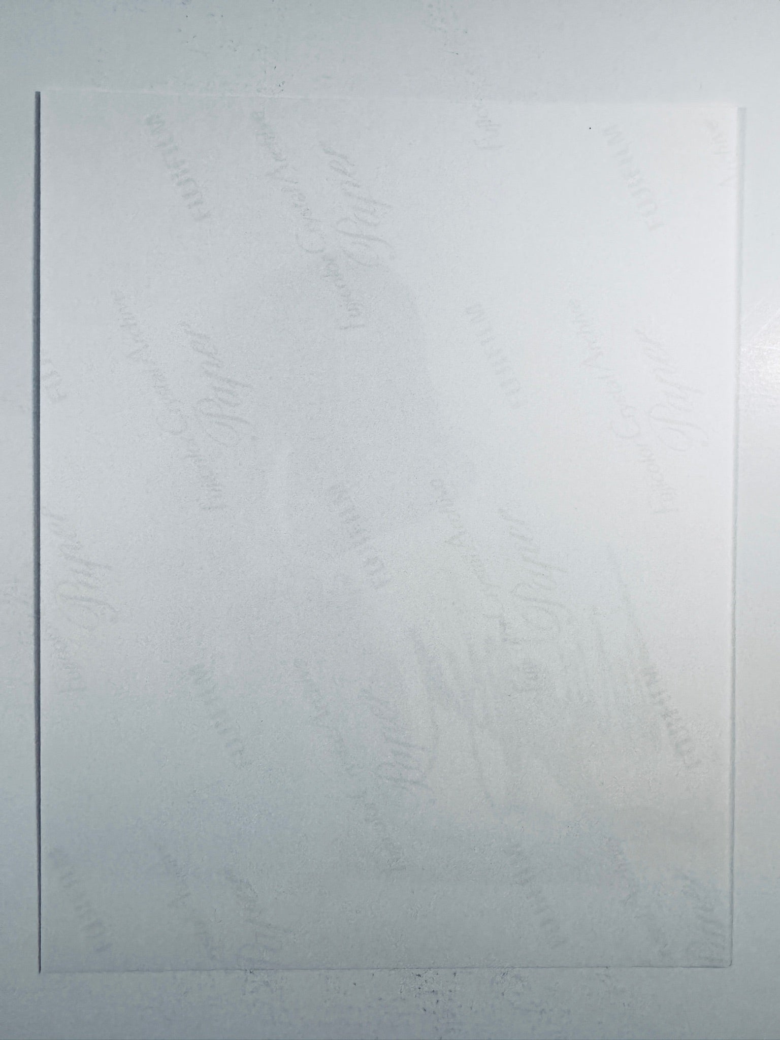The plain white reverse side representing the back physical condition of the photograph print, showing translucent Fujicolor Crystal Archive paper watermarks and logos.