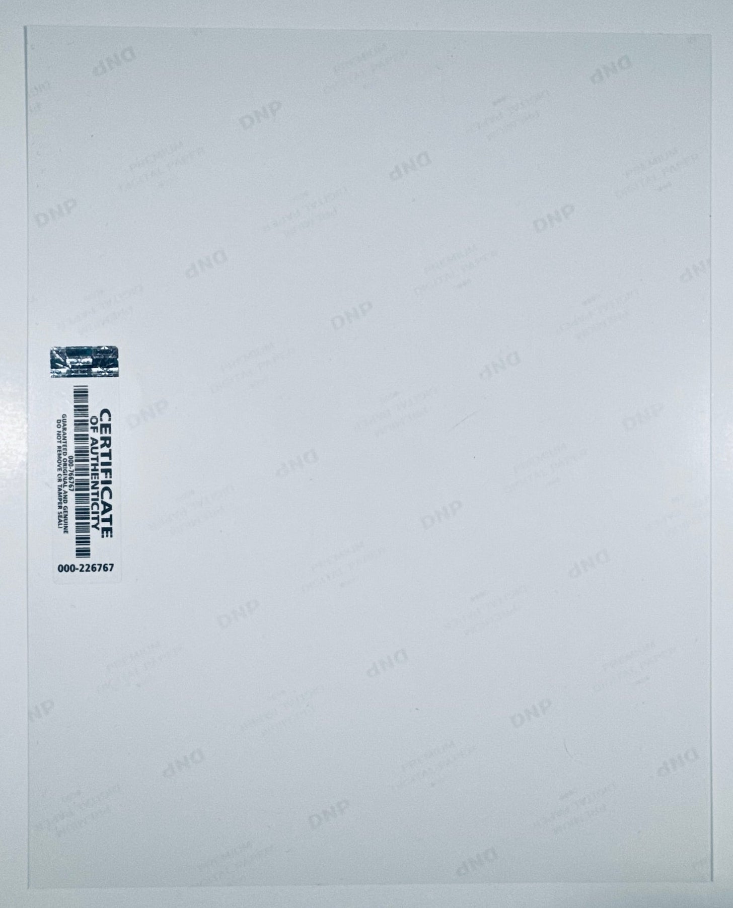 The back of the 8x10 photograph showing its current condition and paper quality.