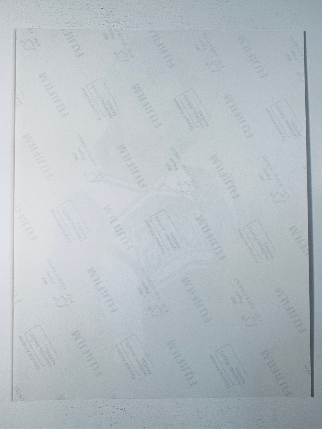 Fujifilm Crystal Archive photographic paper back surface showing the authentic backing and paper condition for the Naya Rivera signed Glee photo.
