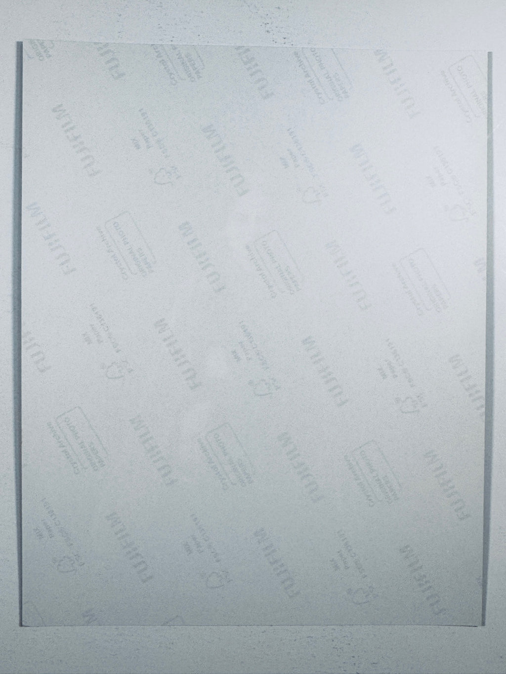 The plain white reverse side representing the back physical condition of the photograph print, showing translucent Fujifilm crystal archive paper watermarks and logos.