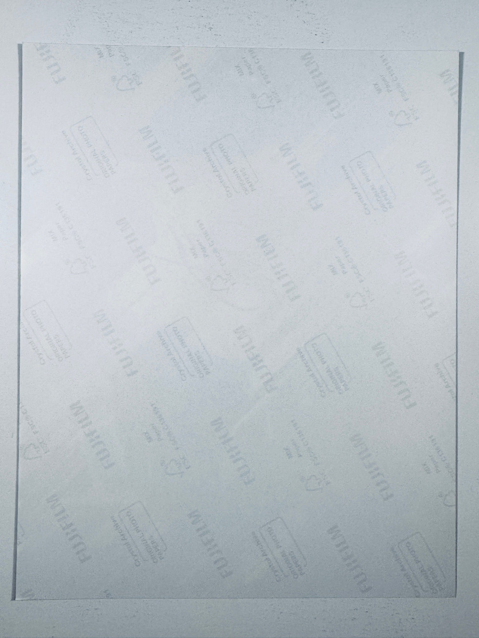 The plain white reverse side representing the back physical condition of the photograph print, showing translucent Fujifilm crystal archive paper watermarks and logos.