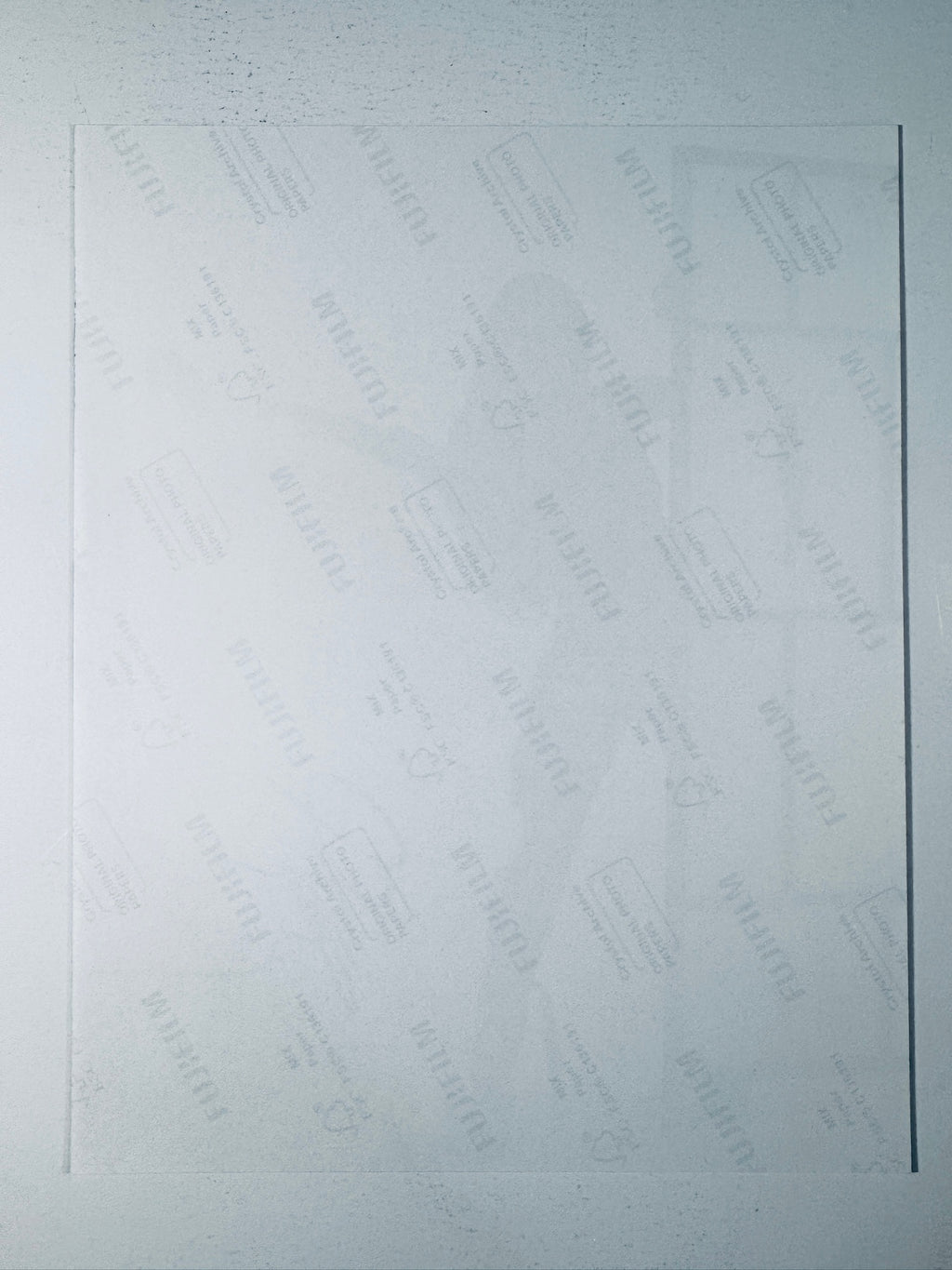 Back condition view of the Fujifilm Crystal Archive paper for the Olivia Rodrigo signed 8x10 photo.