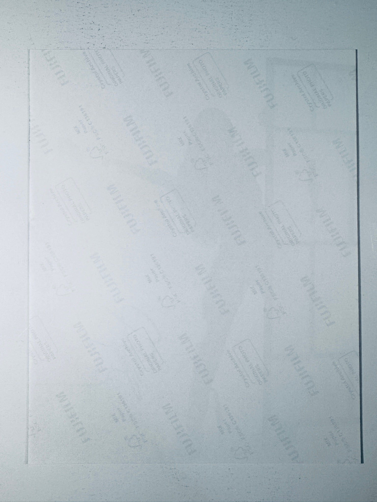 Back condition view of the Fujifilm Crystal Archive paper for the Olivia Rodrigo signed 8x10 photo.