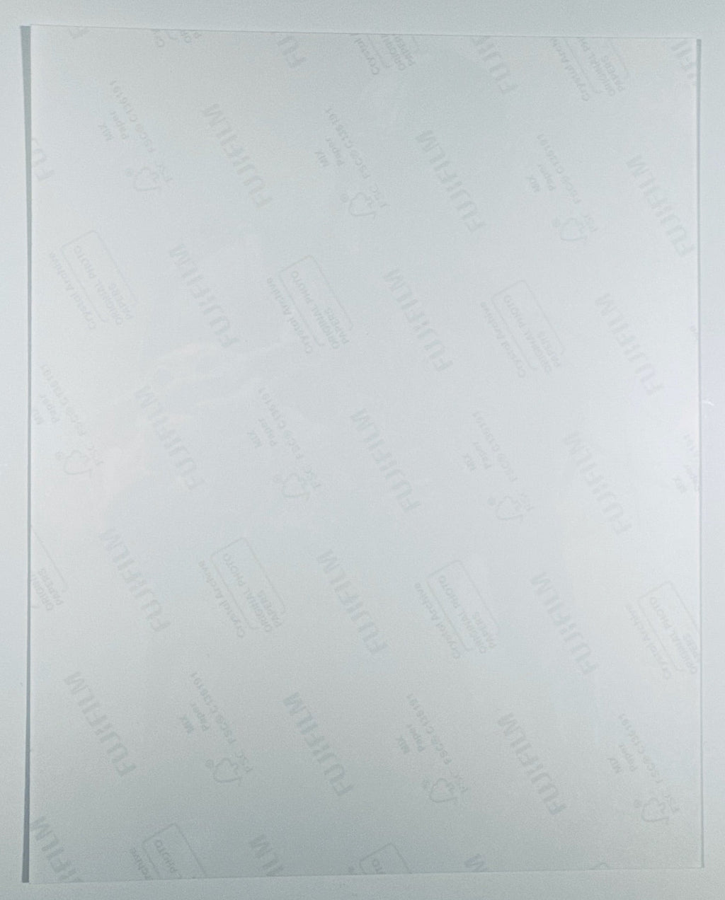 The back of the 8x10 photograph showing its current condition and paper quality.