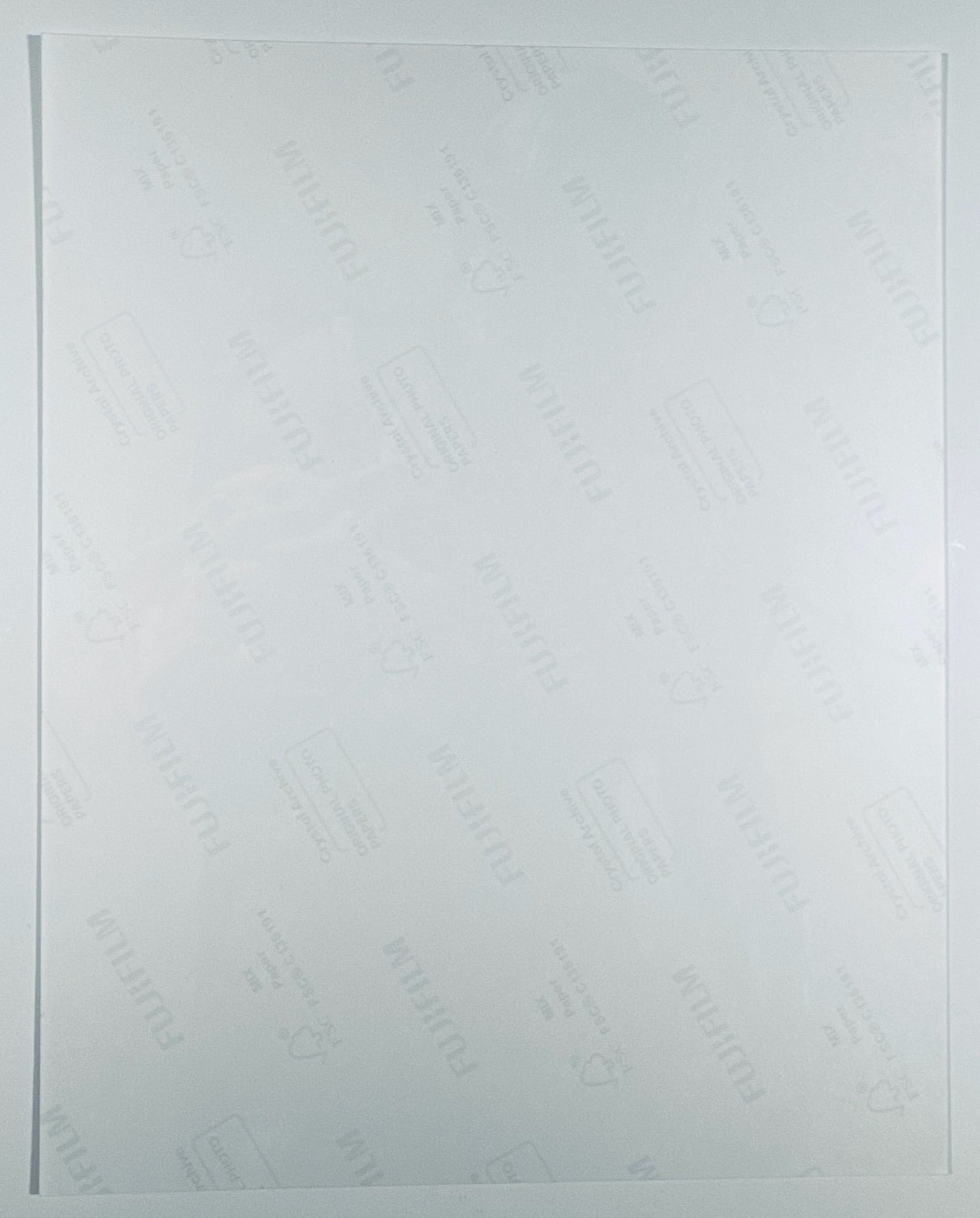 The back of the 8x10 photograph showing its current condition and paper quality.