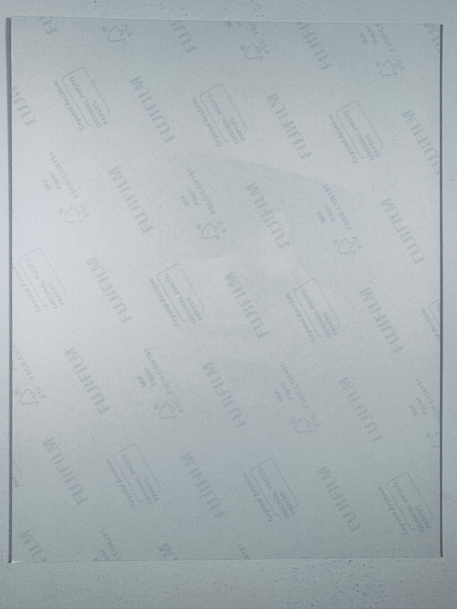 The plain white reverse side representing the back physical condition of the photograph print, showing translucent Fujifilm crystal archive paper watermarks and logos.