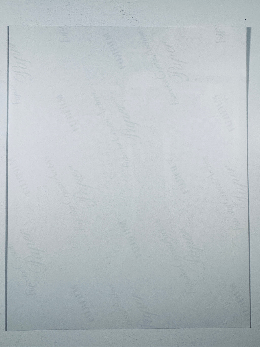 The plain white reverse side representing the back physical condition of the photograph print, showing translucent Fujifilm paper watermarks and logos.