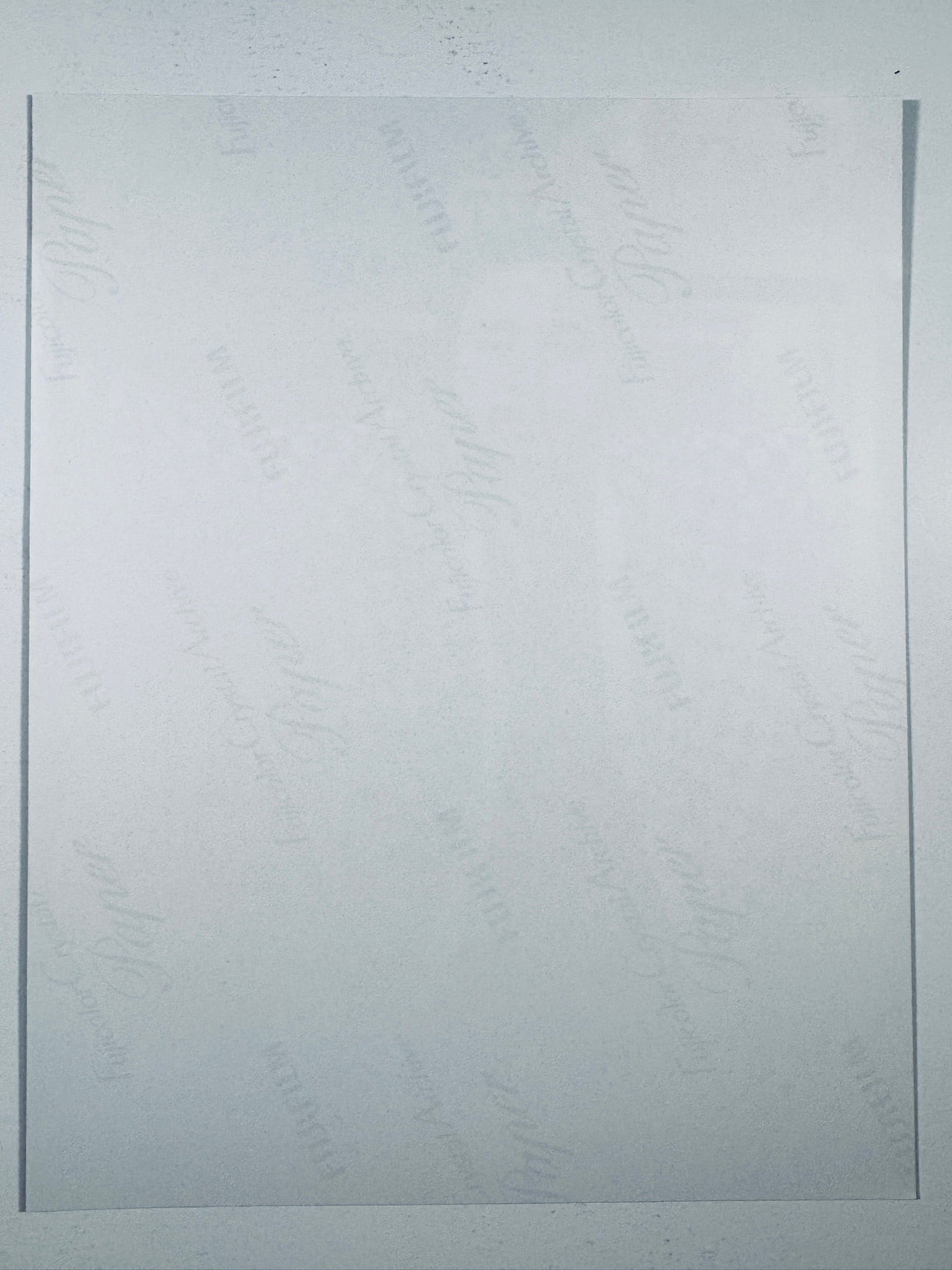 The plain white reverse side representing the back physical condition of the photograph print, showing translucent Fujifilm paper watermarks and logos.
