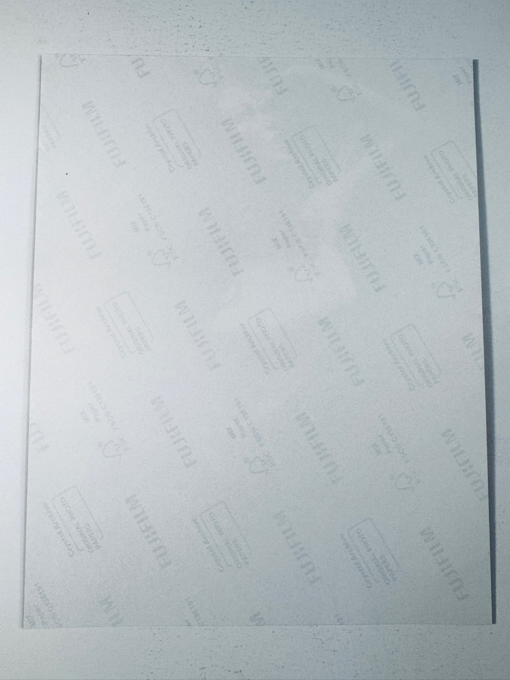 Back of the Fujifilm photographic paper showing the reverse side condition and paper branding for the Rachel Bilson signed collectible.