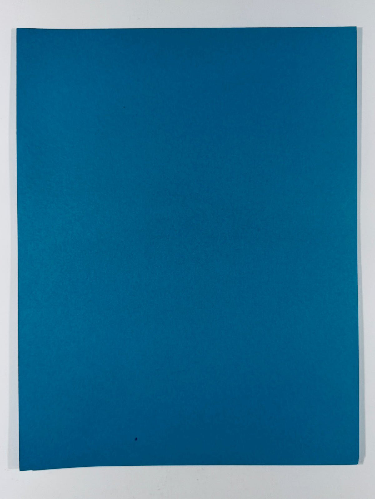 Full back view of blank solid blue cardstock back of Richard Donnor signed Twilight Zone art print.