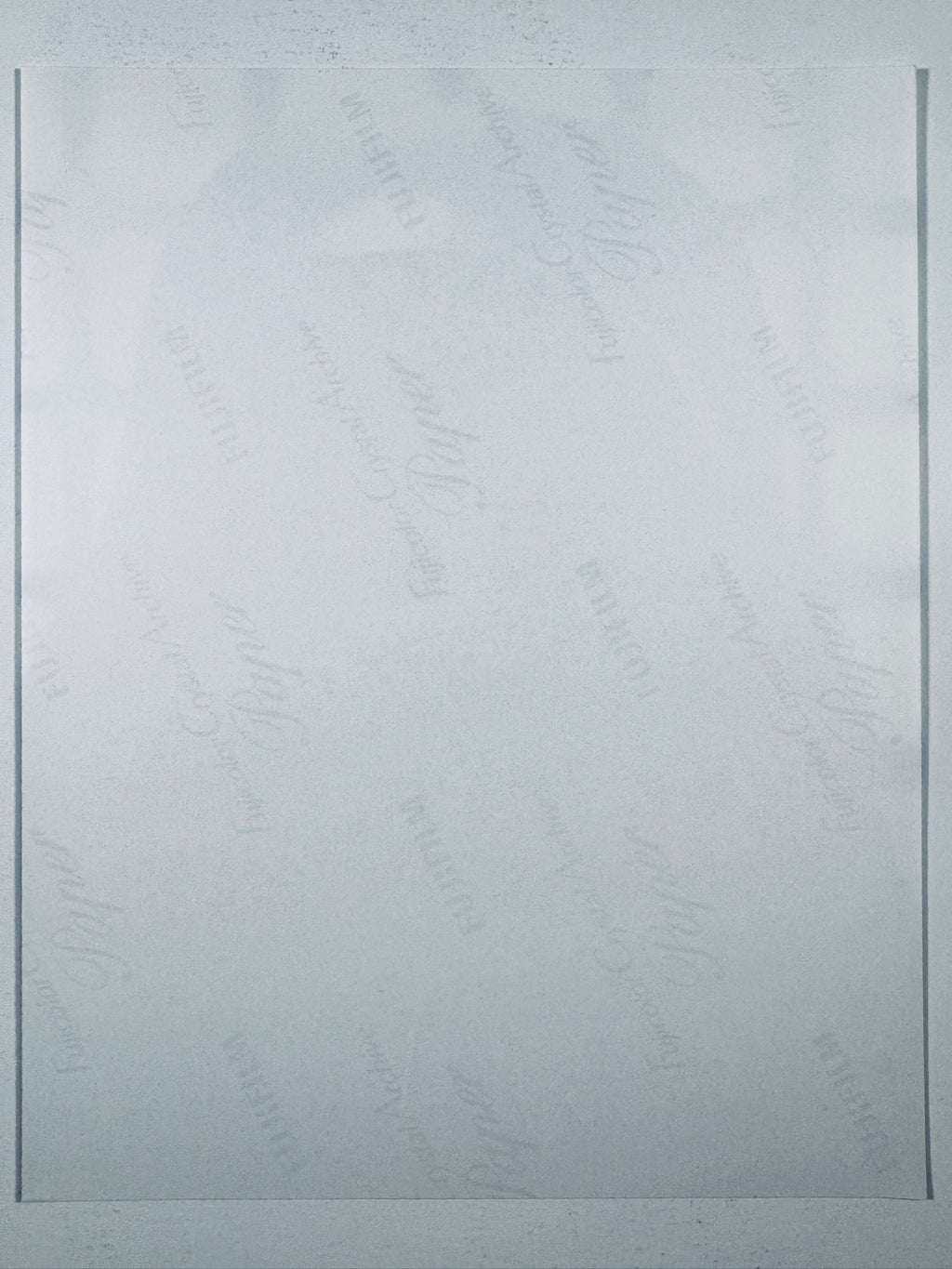 The plain white reverse side representing the back physical condition of the photograph print, showing translucent Fujifilm crystal archive paper watermarks and logos.