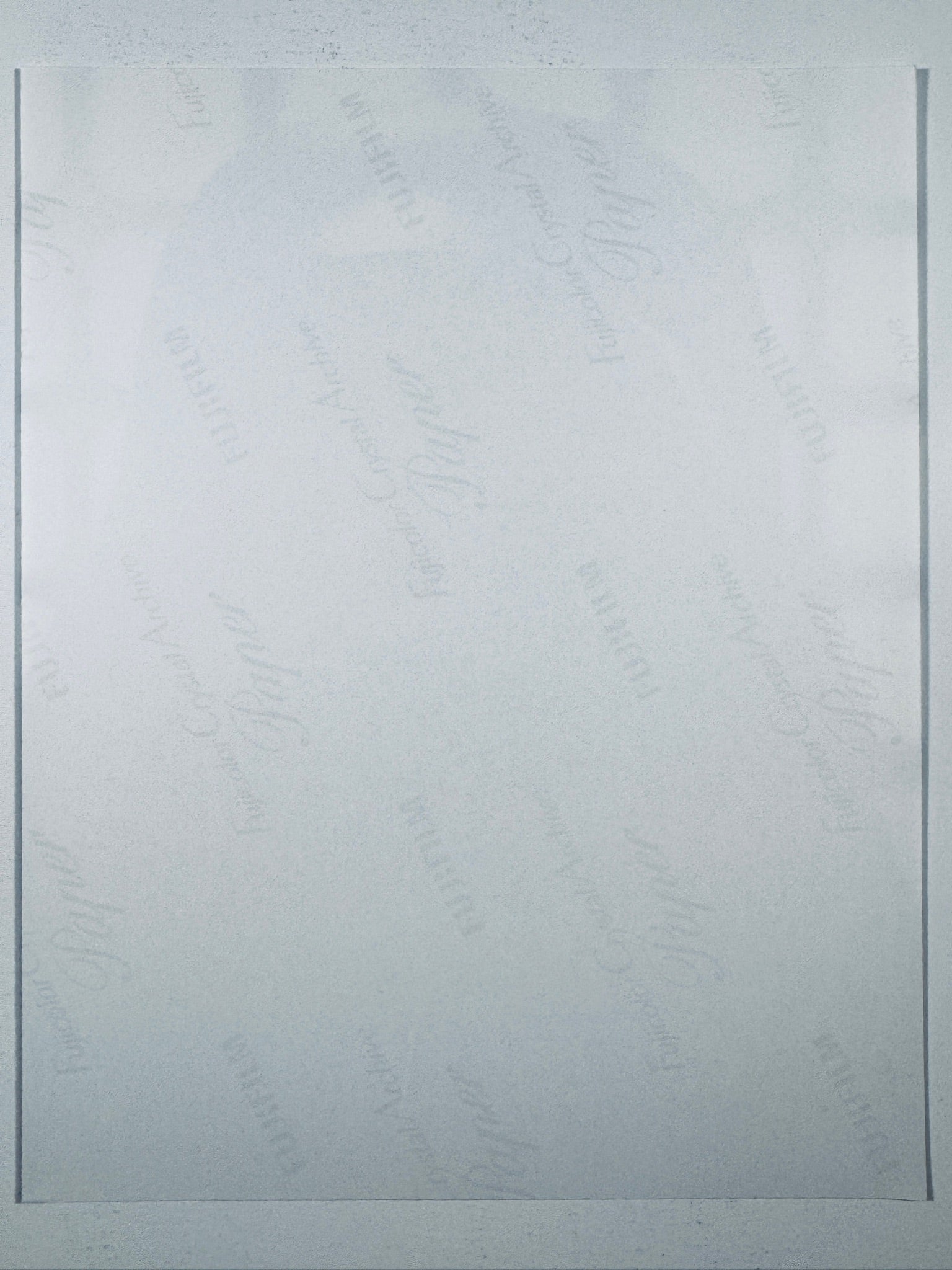 The plain white reverse side representing the back physical condition of the photograph print, showing translucent Fujifilm crystal archive paper watermarks and logos.