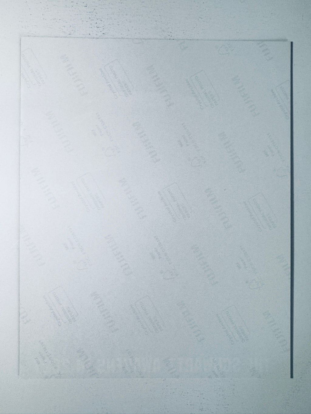 Back condition view of the Fujifilm Crystal Archive paper for the Rick Moranis signed Spaceballs: The New One 8x10 photo.