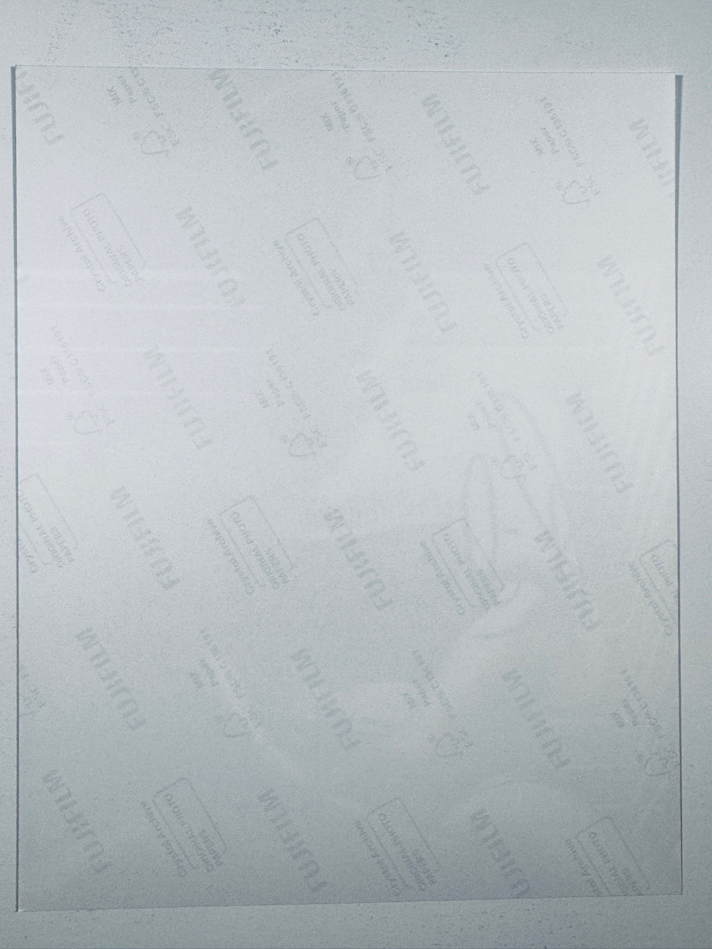 The plain white reverse side representing the back physical condition of the photograph print, showing translucent Fujifilm crystal archive paper watermarks and logos.