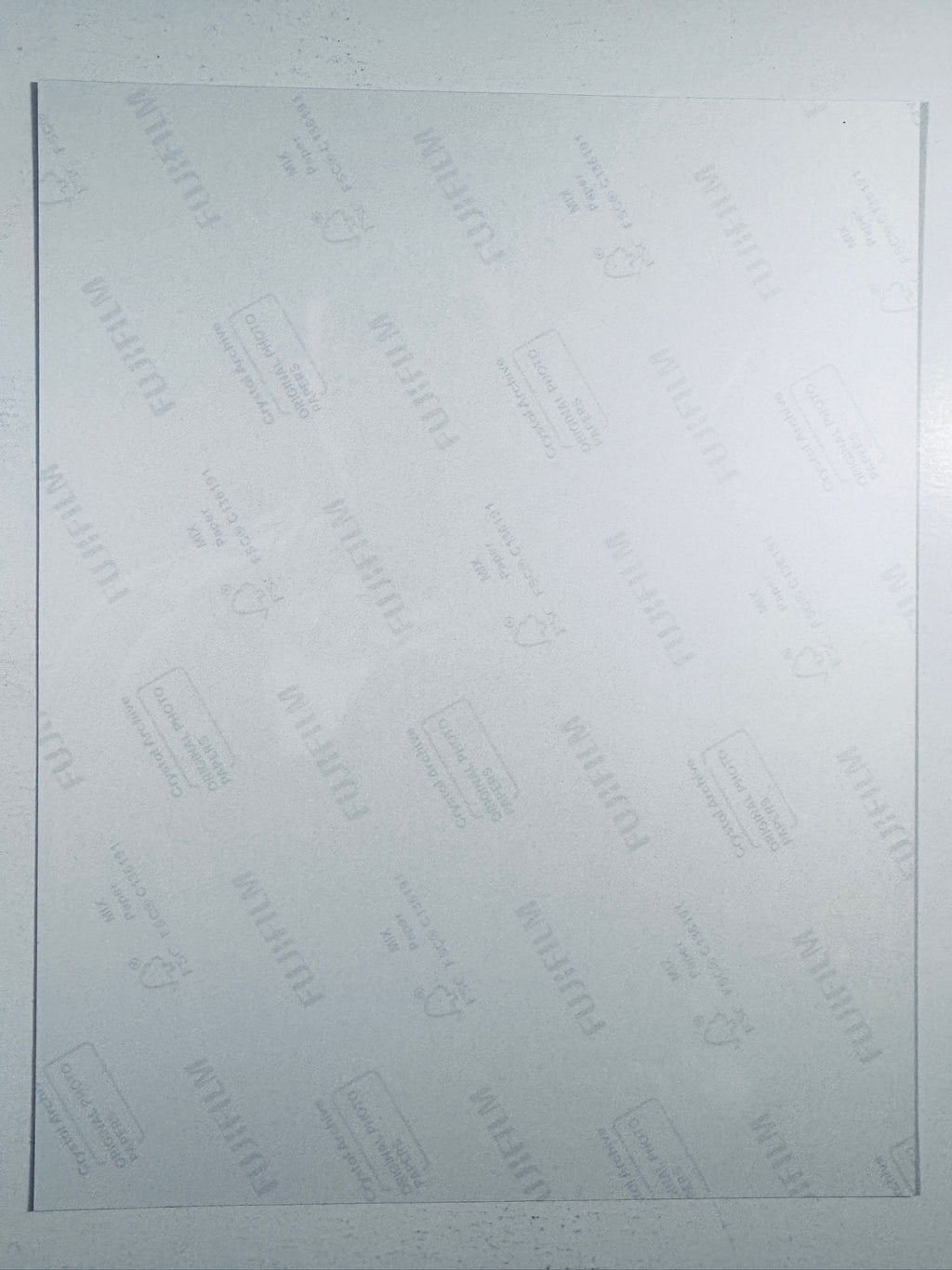 The plain white reverse side representing the back physical condition of the photograph print, showing translucent Fujifilm crystal archive paper watermarks and logos.