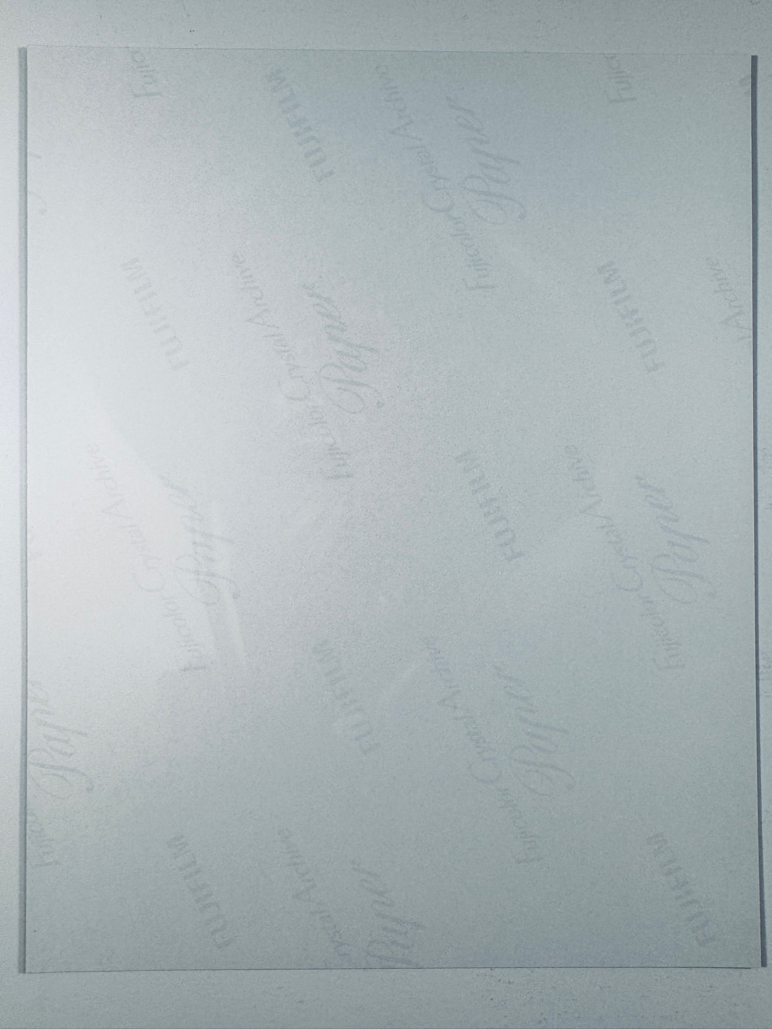 The plain white reverse side of a photographic print showing faint translucent watermark patterns and repeating Fujifilm paper logos.