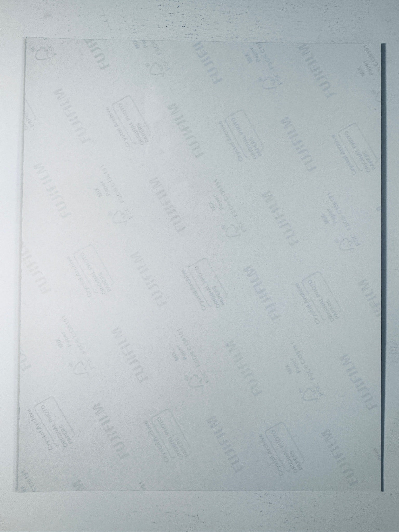 Back condition view of the Fujifilm Crystal Archive paper for the Ruth Bader Ginsburg signed Supreme Court 8x10 photo.