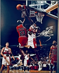 Dikembe Mutombo Signed Autographed Signature 8x10 Matte Photograph COA