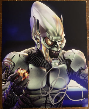 William Dafoe Signed Autograph Signature 8x10 Matte Spiderman Photograph COA